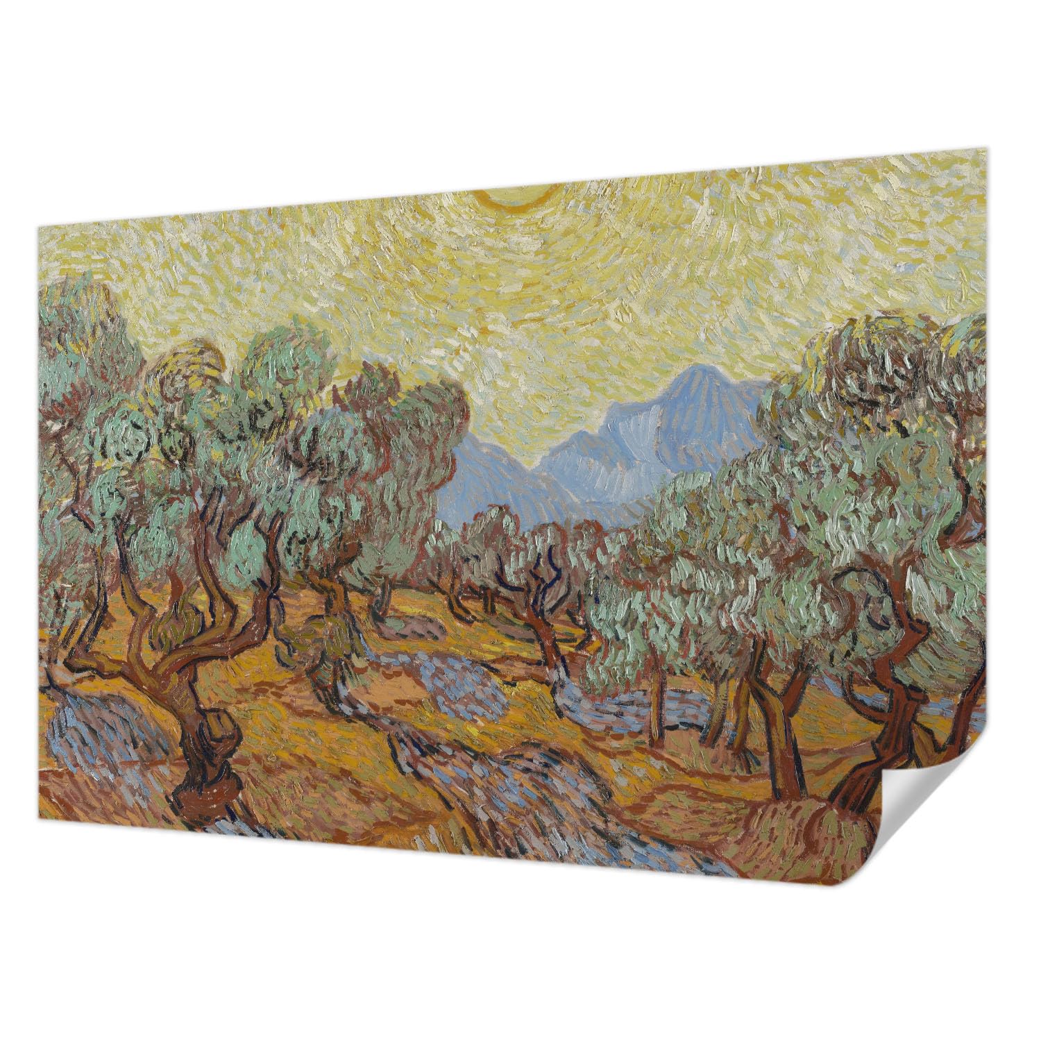 Papier peint photo autocollant haut de gamme oliviers Tulup 104x70 cm