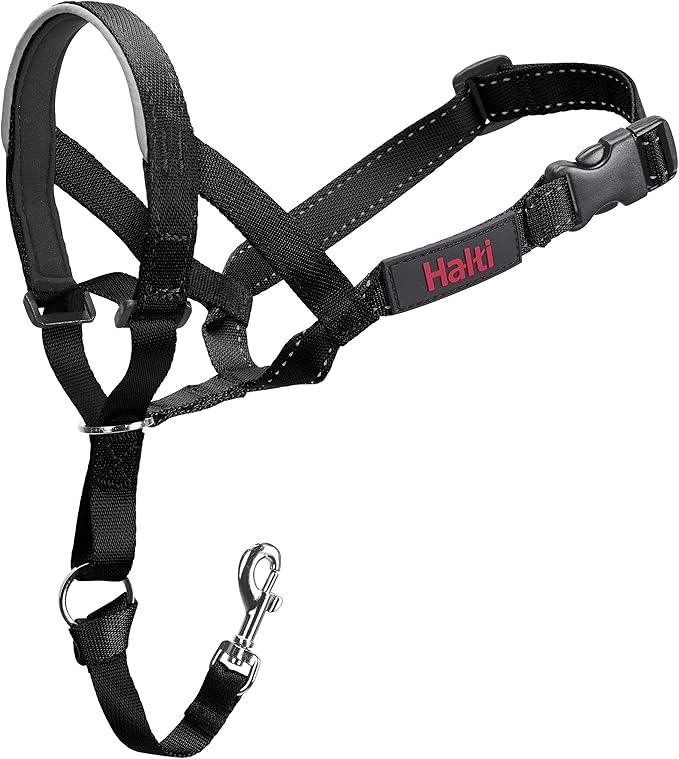 holt dog head collar