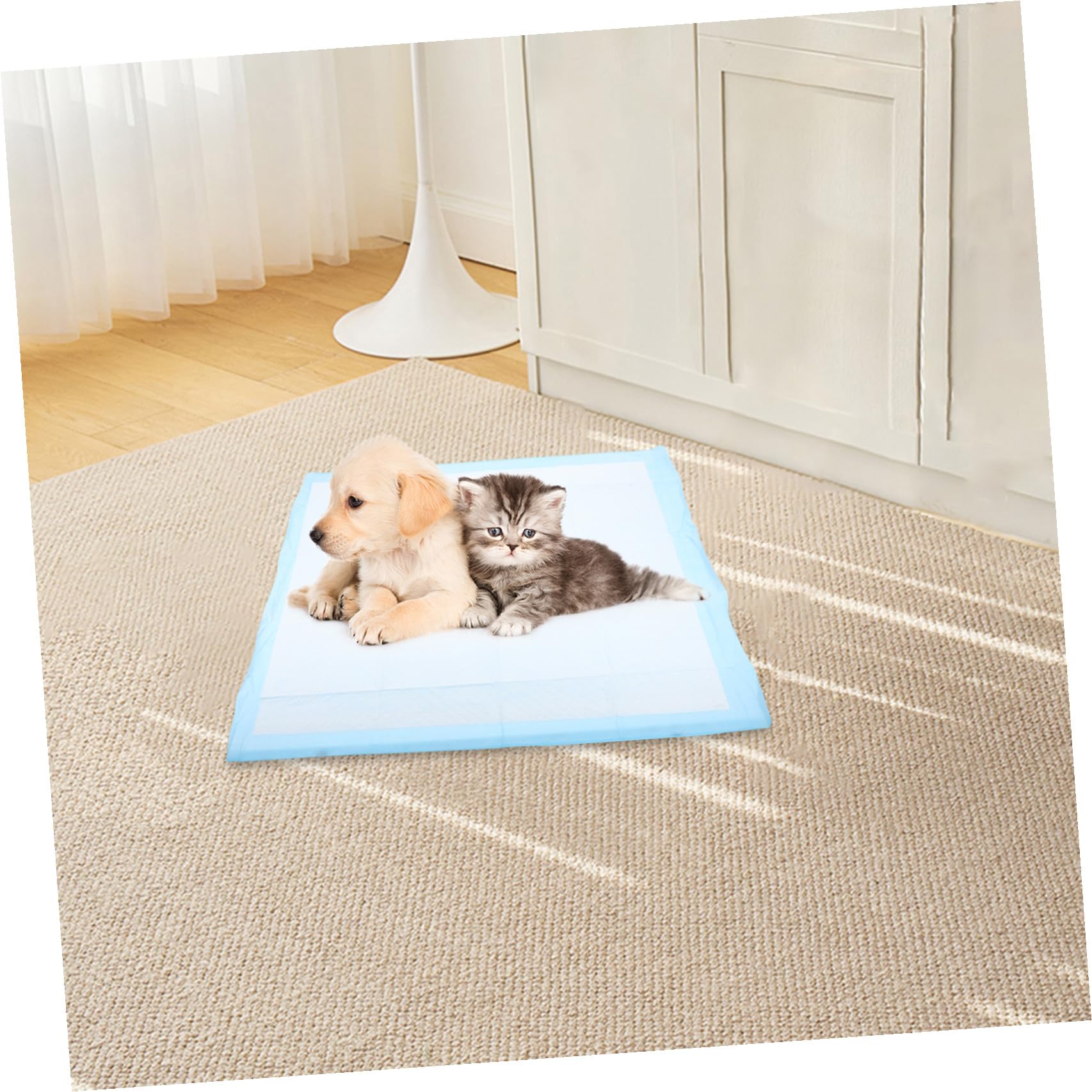 Tapis D'apprentissage Non-tissé pour Chiots Super Absorbant 60x60 Cm | Voiture et Sorties, Alèse Simple, Garde la Maison Propre, Chiots et Chiens D'intérieur