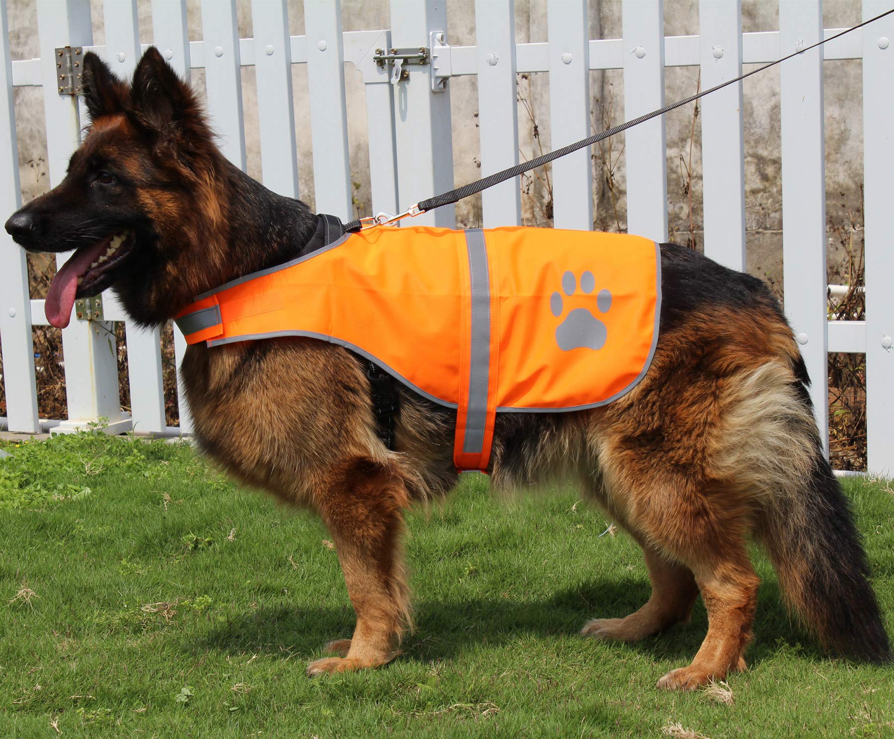Chaleco Reflectante de Seguridad para Perro, Alta Visibilidad para Caminar, Correr, Senderismo para Mantener a los Perros visibles y Seguros de los Coches y Accidentes de Caza