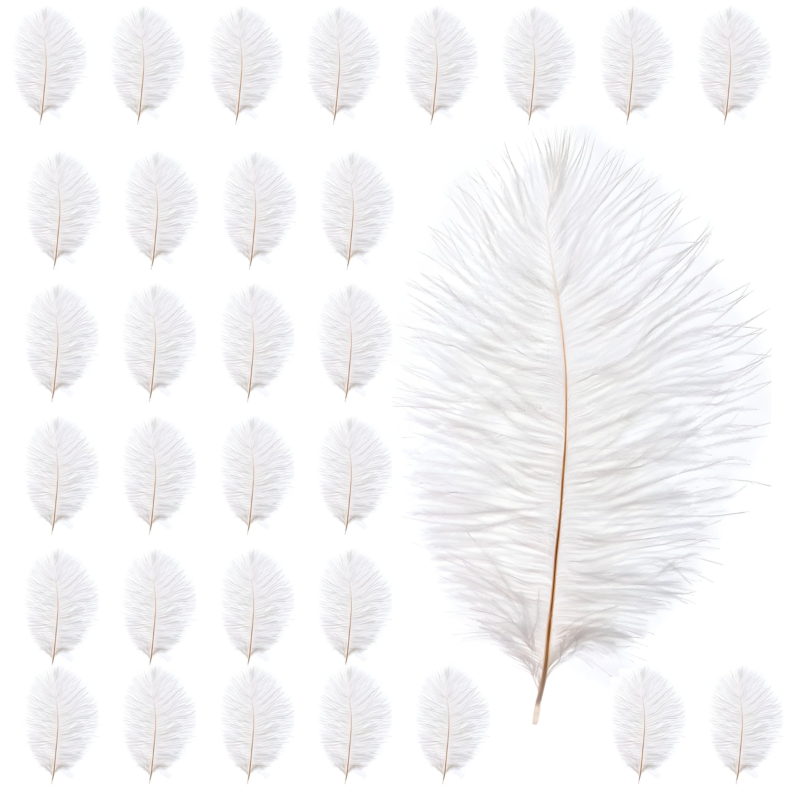 Lot De 300 Plumes Décoratives Blanches TOPCZY – 3,9 à 8,3 Cm, Naturelles, Pour DIY, Mariage, Fête, Attrape-Rêves Et Déco - 9
