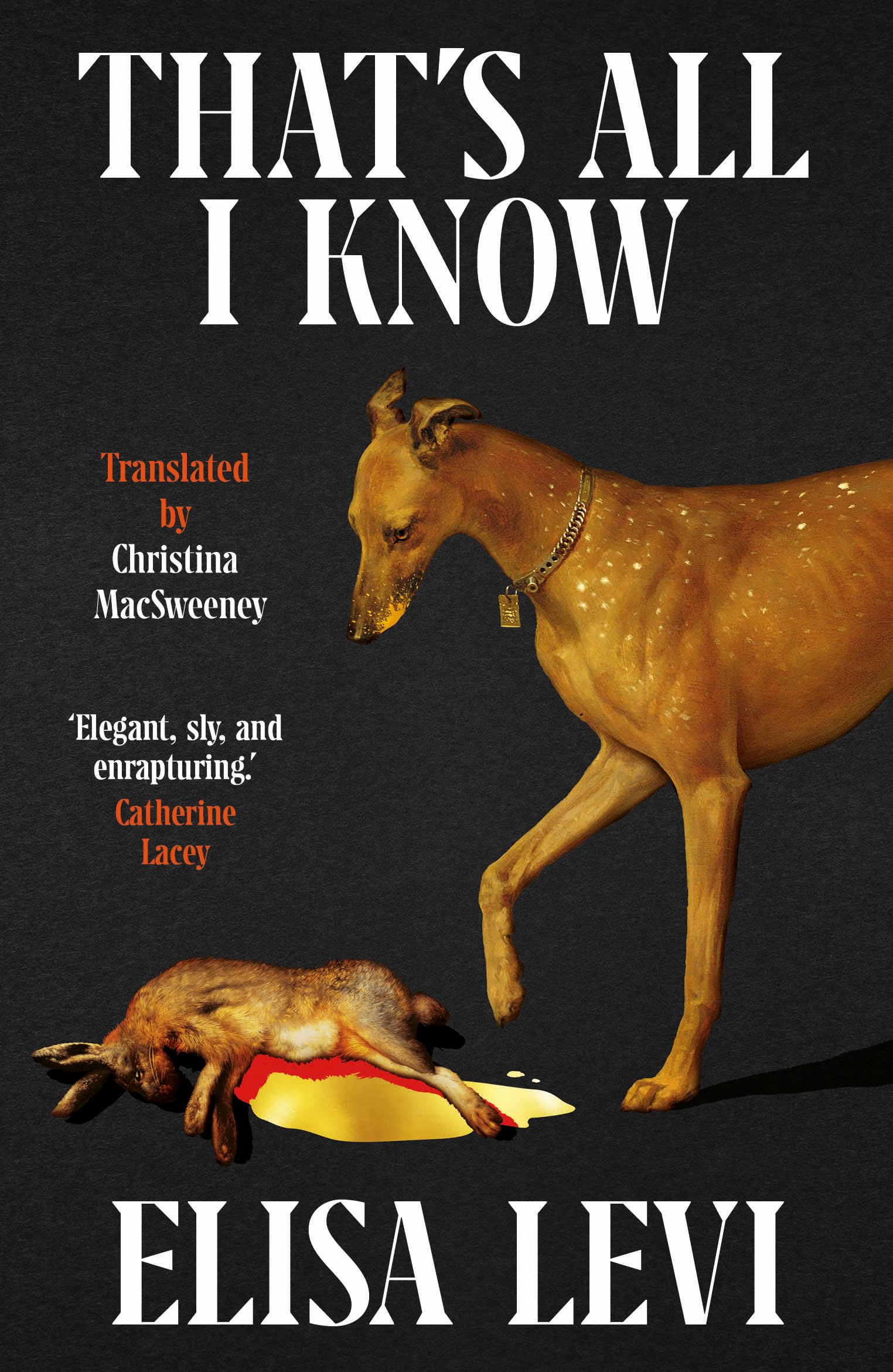 Thats All I Know by Elisa Levi PAPERBACK 9781914198786