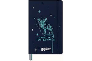 Limited Edition Harry Potter Moleskine Notebook