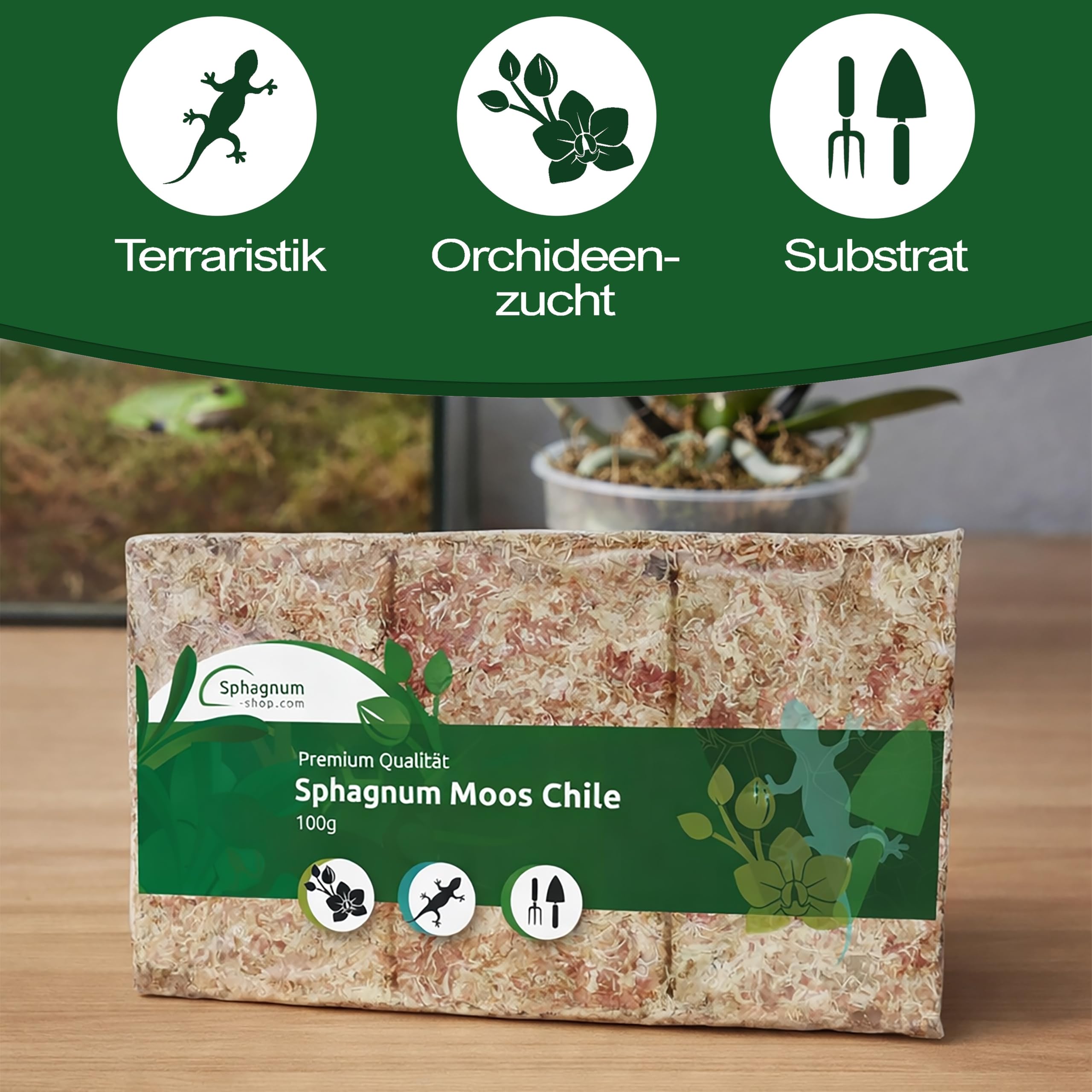 Torfowiec mchu do terrarium i storczyków z Chile 100/200/400 g do storczyków i terrarystyki - idealne podłoże i pałeczki mchu (200 g)