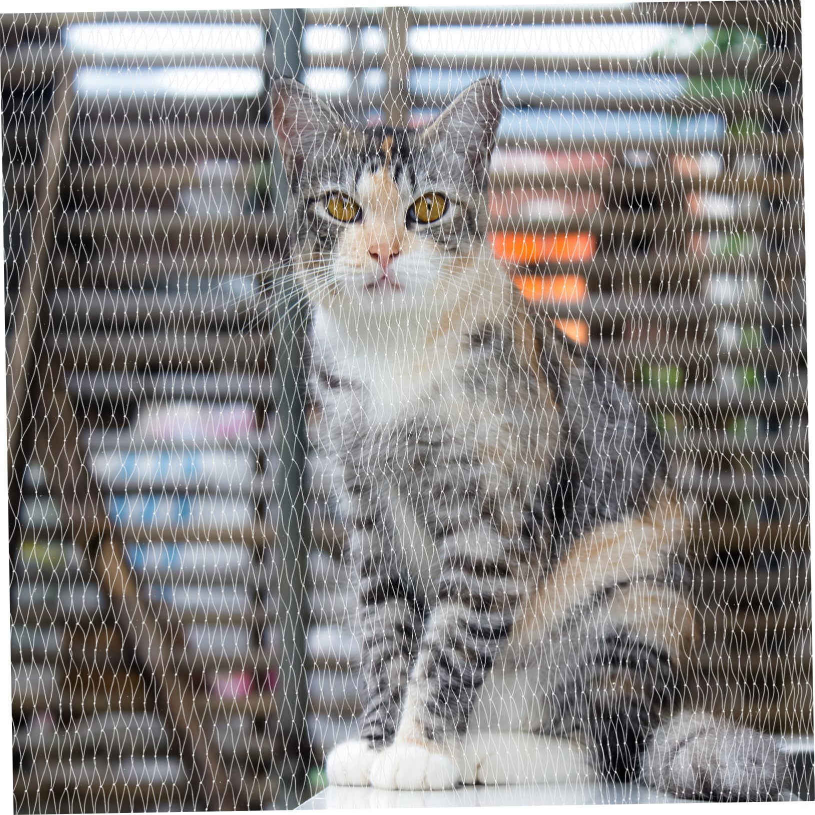 iplusmile Katzennetz für Balkon und Fenster Sicherheitsnetz aus Nylon Absturzsicherung für Haustiere Kletternetz für Katzen ohne Bohren Schnell Montiert Engmaschig für Terrasse und Dach