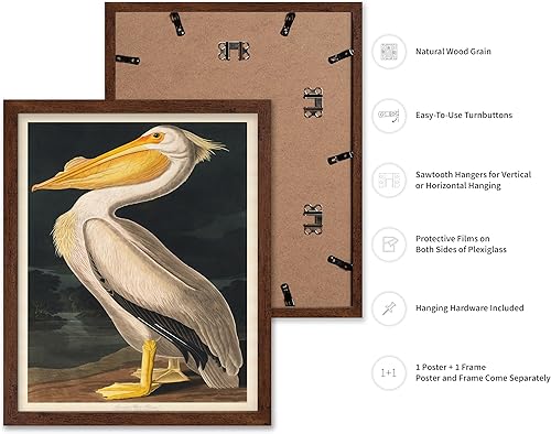 Miniatura 26 de Poster Master Póster vintage de flamenco americano, estampado retro de flamenco rosa, arte de pájaro, regalo para él, ella, amante de los animales,