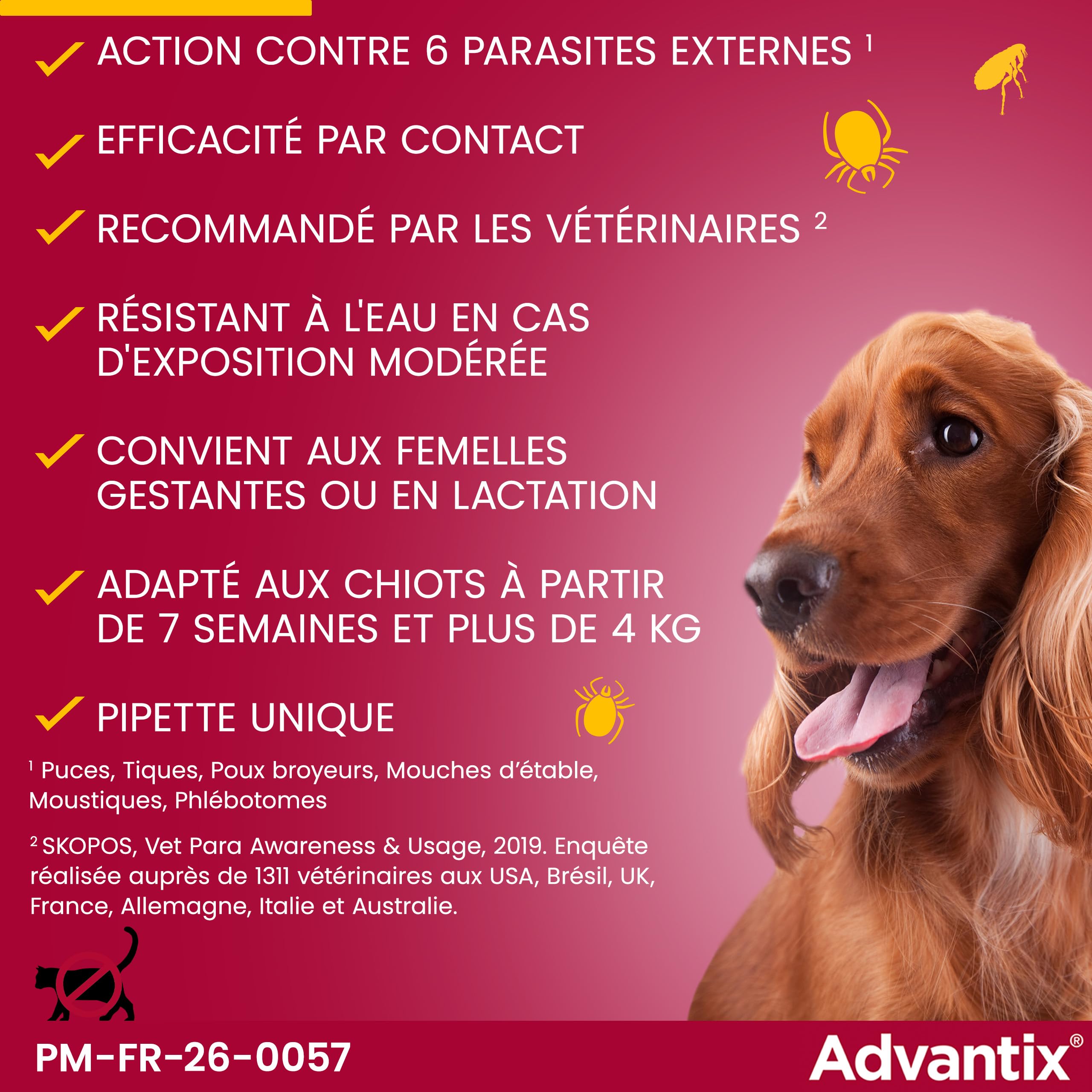 Advantix Petit Chien entre 4 et 10 kg – Pipettes pour chien contre 6 parasites – Traitement en pipette pour une protection en continu pendant 4 semaines – 4 x 1,0 ml