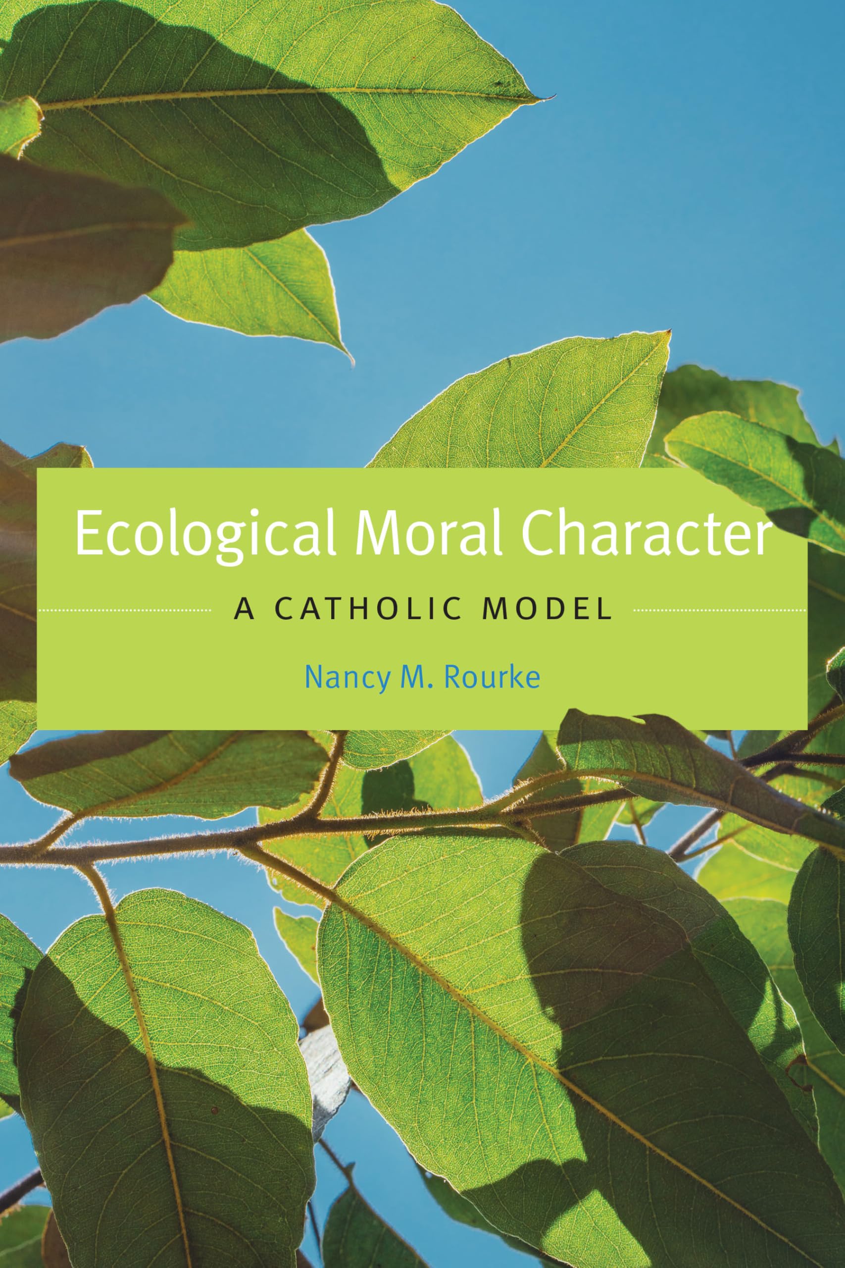 Ecological Moral Character: A Catholic Model (Moral Traditions): Rourke ...