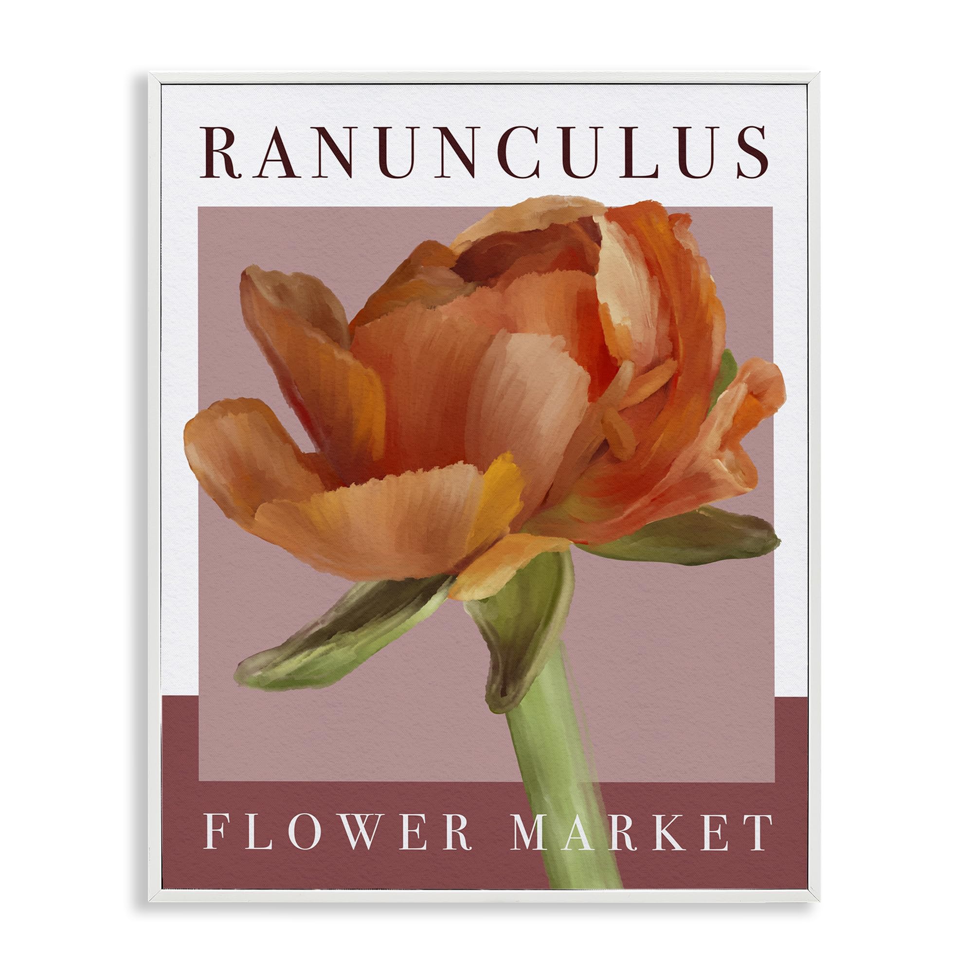 Stupell Industries Coastal White (Textured) Ranunculus Flower Market Botanical, 16 X 20 Inch Framed Giclée Print