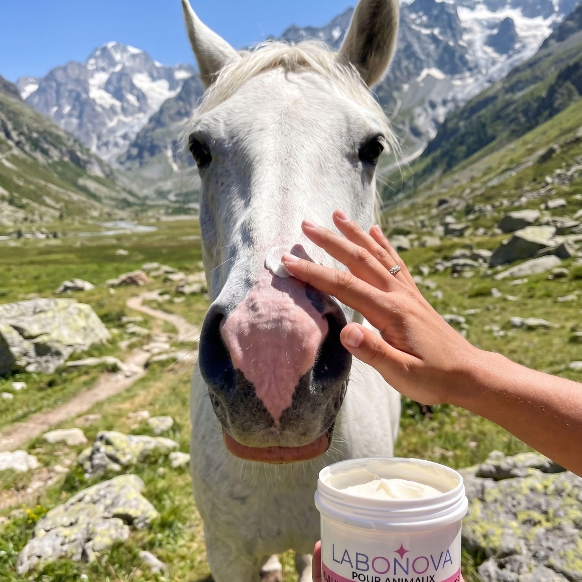Crème Solaire minéral pour Animaux – Protection UV résistante à l’Eau – Chiens, Chats, Chevaux, Lapins et Autres Animaux