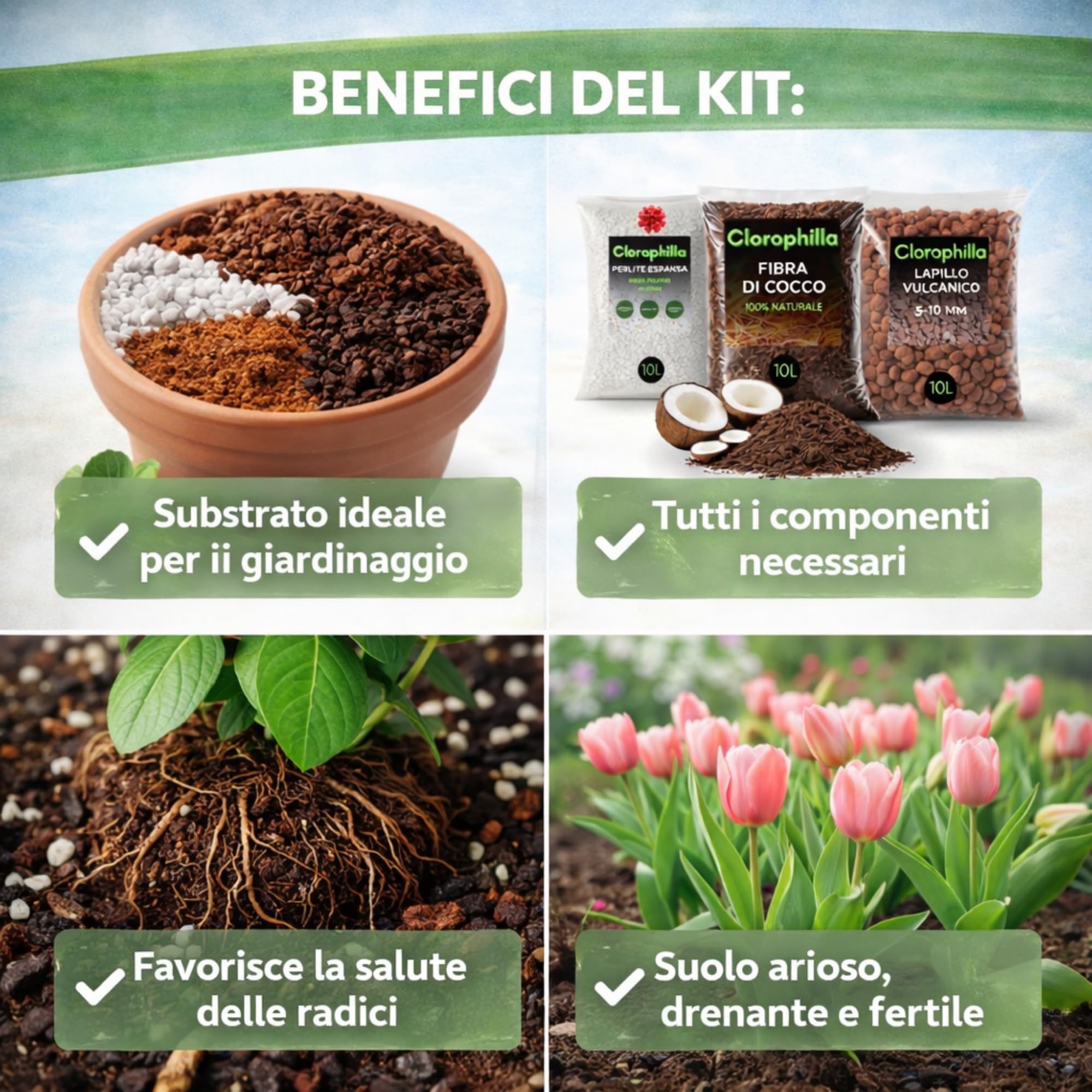 Clorophilla Kit Substrati per Piante – 4 Sacchi da 10L (Fibra di Cocco + Lapillo Vulcanico + Perlite Espansa + Terriccio Universale) – Drenaggio, Aerazione e Crescita Radicale (KIT 10L X4)