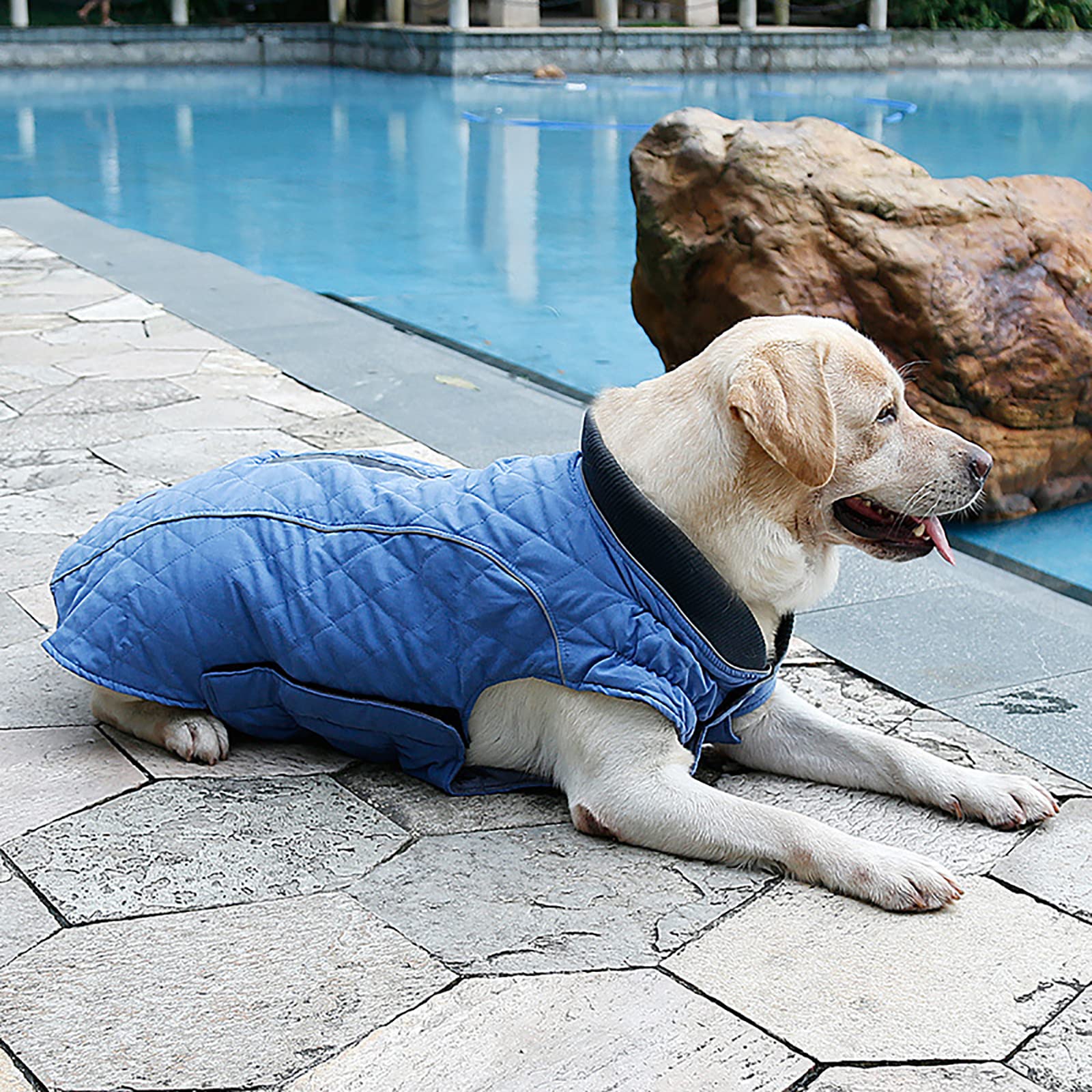 犬服 ジャケット ペット 秋冬綿服 袖なし 着脱簡単 コート ジャケット Amazon | 犬服 ジャケット ペット 秋冬綿服 袖なし 着脱簡単 コート