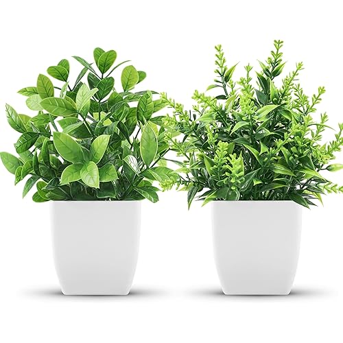 Der Rose 2 Pack Fake Plants Small Faux Artificial Small Potted Plants Indoor for Room Home Office Farmhouse Bathroom Decor