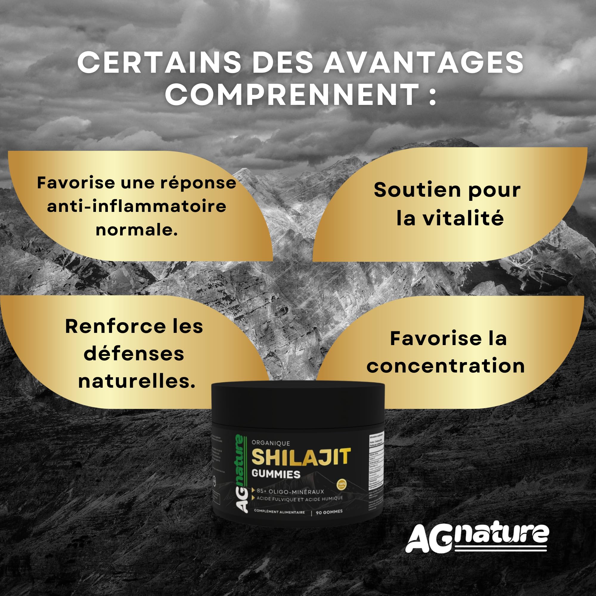 Shilajit Himalaya Original 90 Gummies - Complément Alimentaire Naturel avec +85 Minéraux et Acide Fulvique et Humique