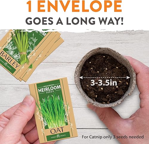 Miniatura 6 de Semillas de hierba para gatos  Cultiva hierba para gatos de interior  Semillas de hierba para gatos a granel  Kit de hierba para gatos  Semillas de