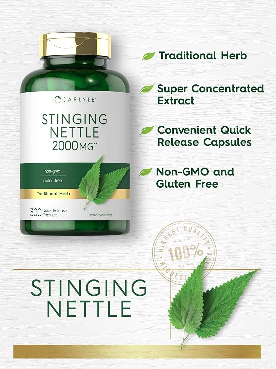 Carlyle Stinging Nettle Leaf Extract Supplement | 300 Capsules | Herbal Formula | Non-GMO & Gluten Free