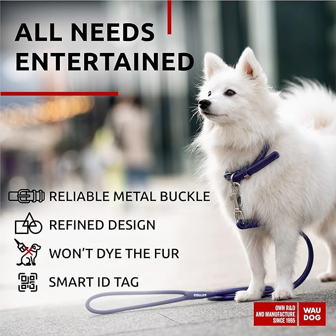 Collar de cuero suave para perros pequeños y medianos miniatura 5