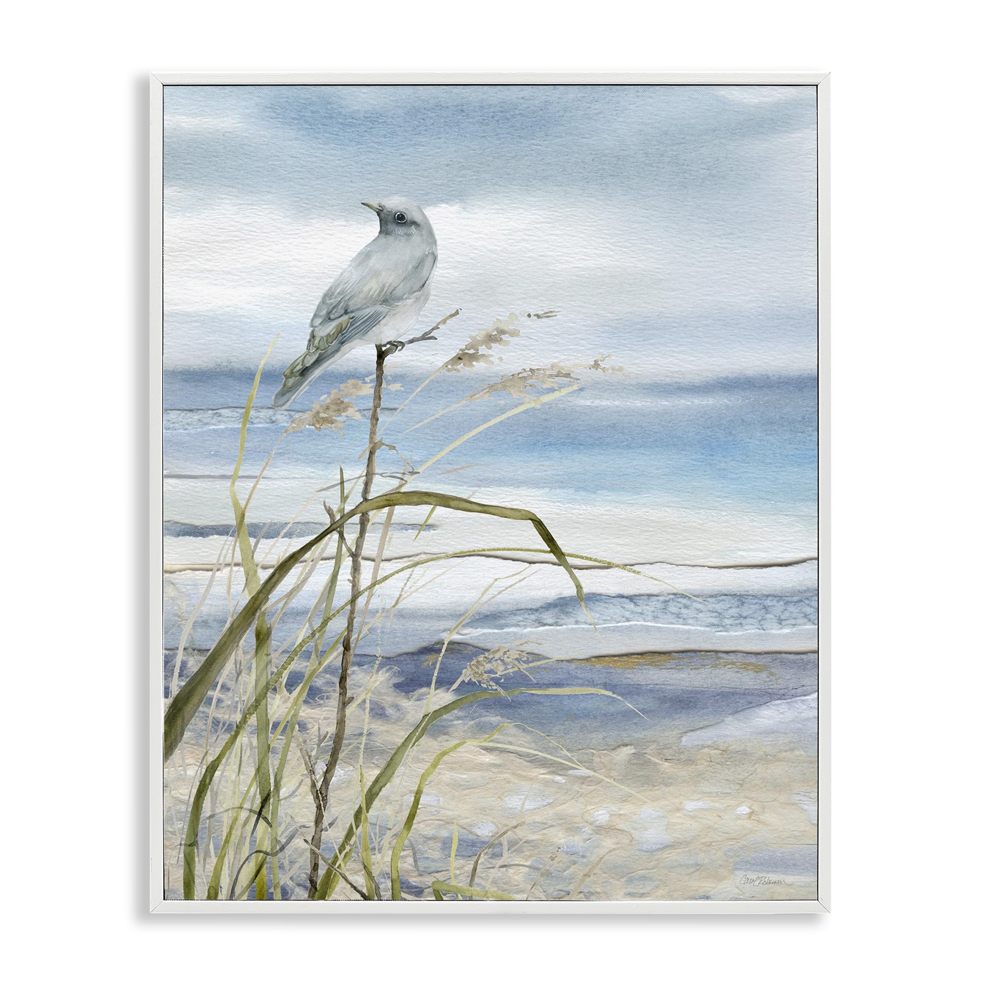 Stupell Industries Bird on Beach Shore Framed Giclee Art by Carol Robinson