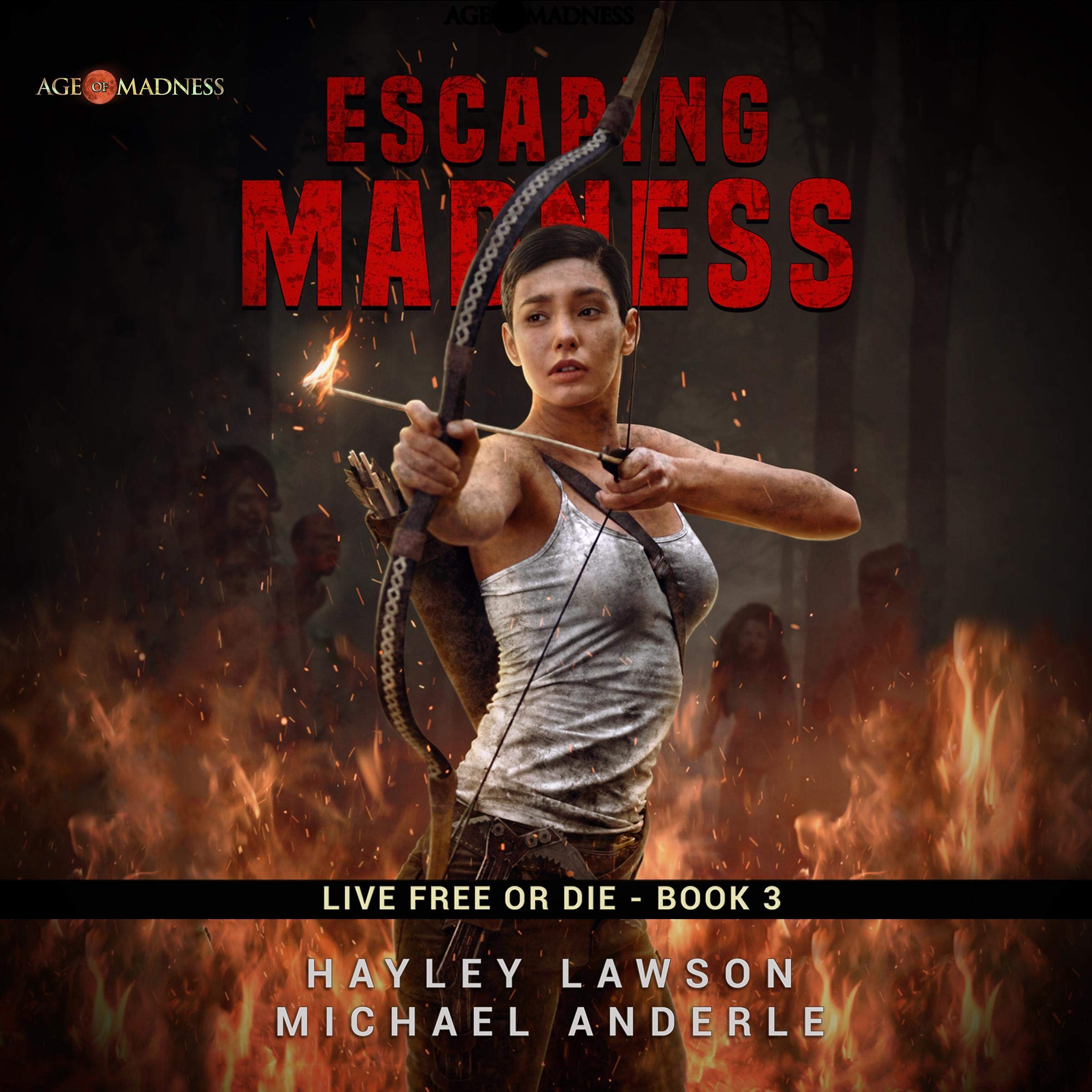 Cover art for Escaping Madness