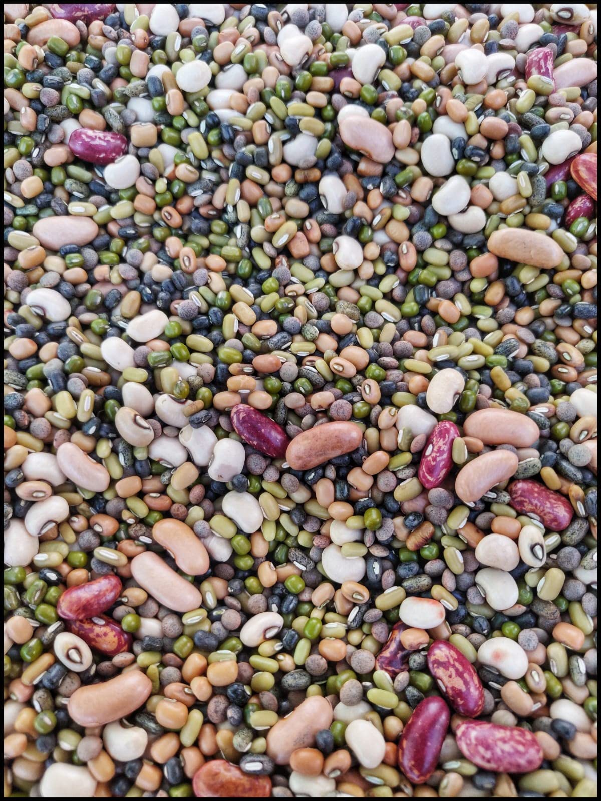 Raindrop Home Products - Eat Right, Live Right Super Food Of Uttarakhand - Authentic Organically Grown Mix Dal Whole/Pachrangi 750 Gm (B09GJQ13KL) Amazon Price History, Amazon Price Tracker