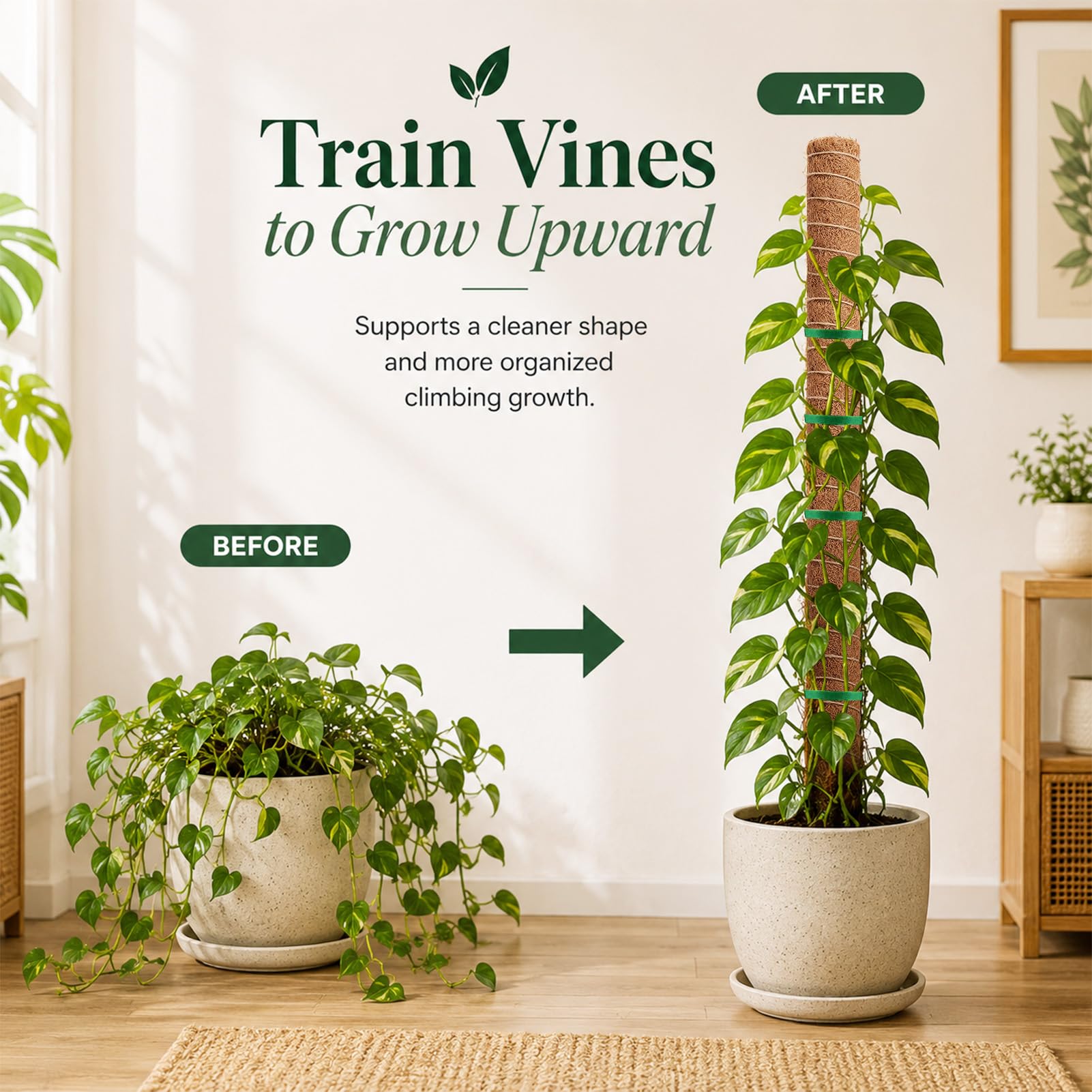 Fabulas Moss Pole - 48 Inch for Monstera & More -6 Fabulas Moss Pole - 48 Inch for Monstera & More -6