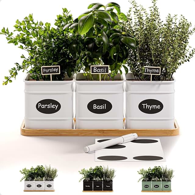 Herb Planter Indoor - 3 Iron Herb Pots with Drainage Holes, Varnished Ba...