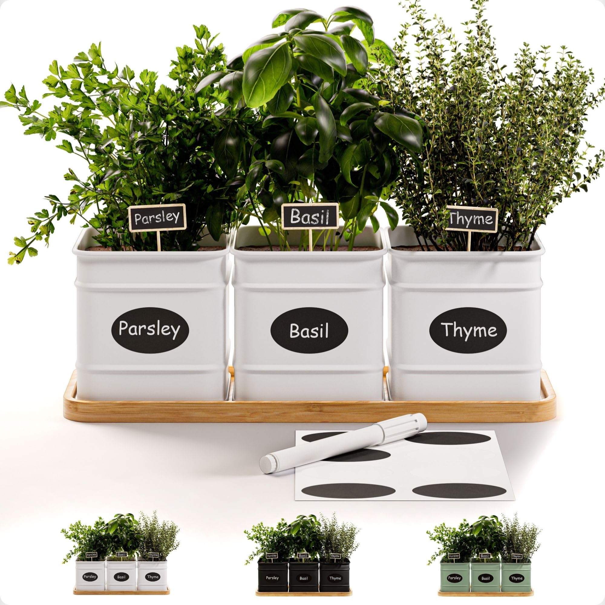 HB Design Co. Iron Herb Planter Indoor Set