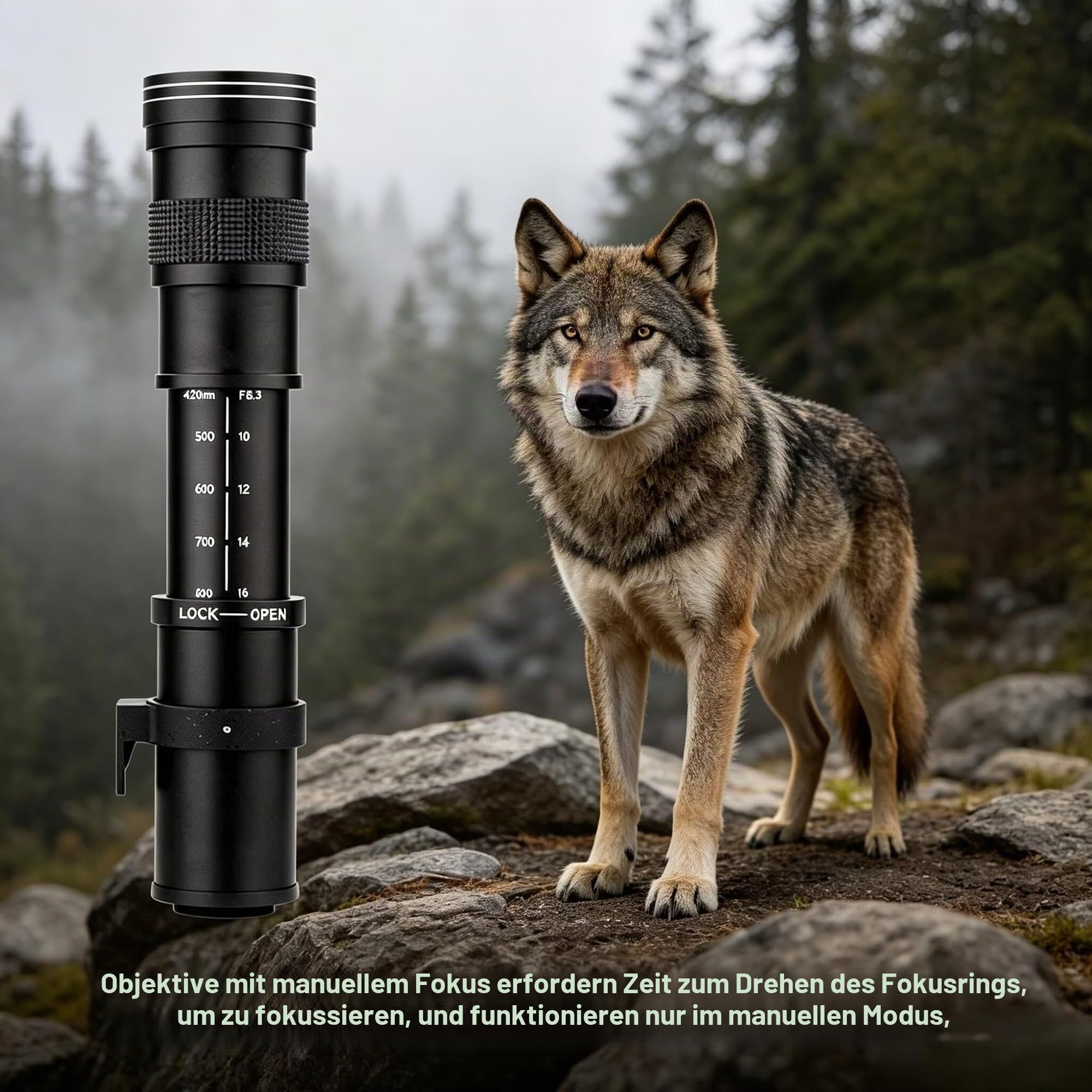 JINTU 420-800mm f/8.3 Teleobjektiv, EF Objektiv Manuelles Zoom Objektiv für Canon SLR 90D 80D 4000D 2000D 1500D 1300D 1200D 850D 800D 750D 600D 500D 250D 60D 70D 50D 5D 1D 7D