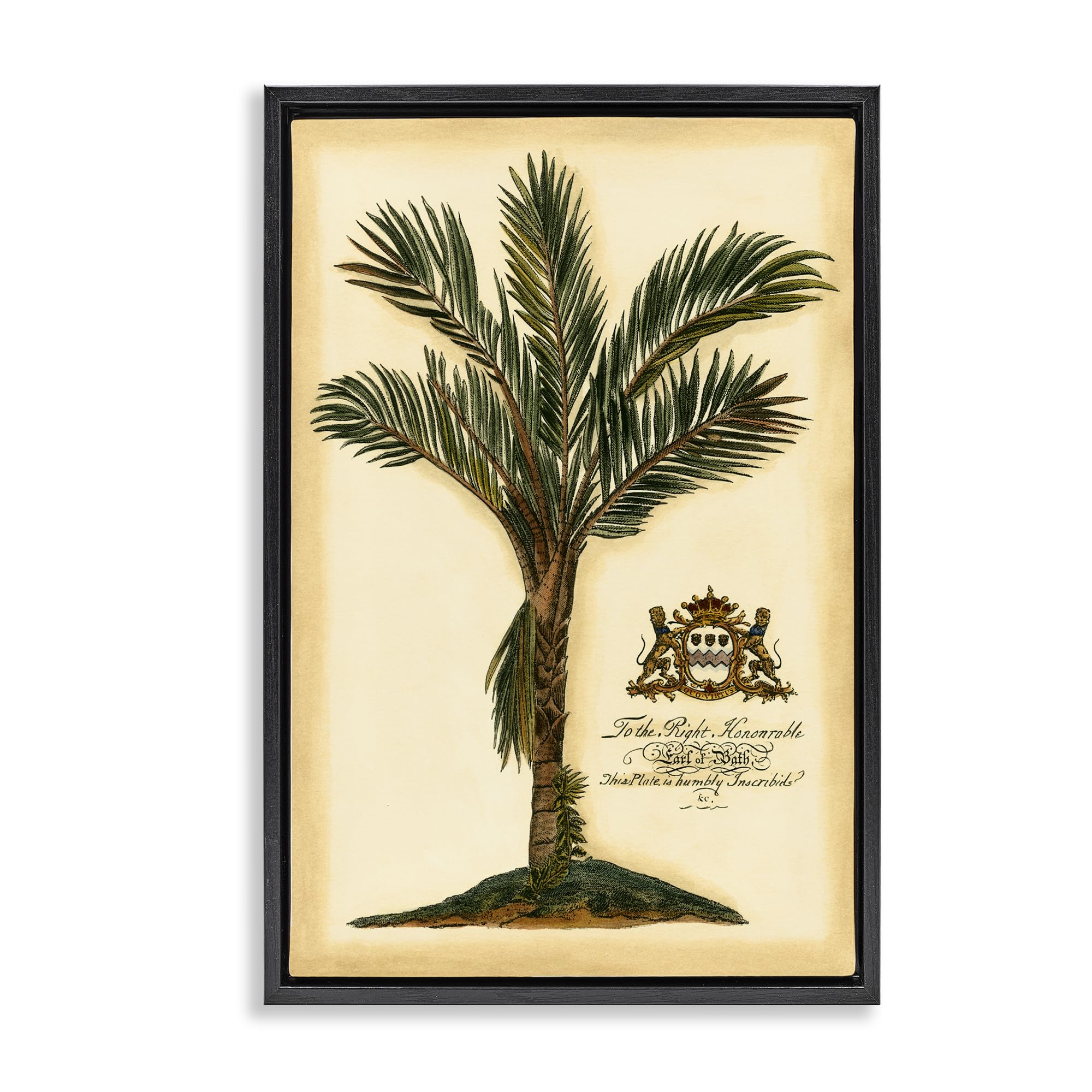 Stupell Industries Jet Black (Matte) 'Vintage Colonial Palm'| Floating Frame Canvas Art