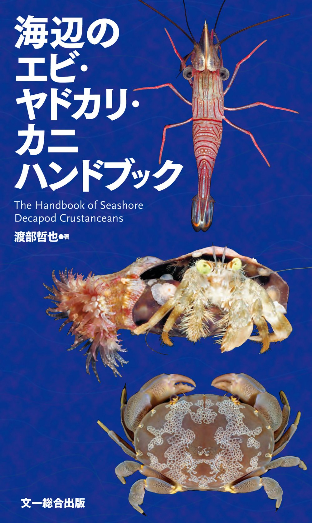 海辺のエビ ヤドカリ カニハンドブック 渡部 哲也 本 通販 Amazon