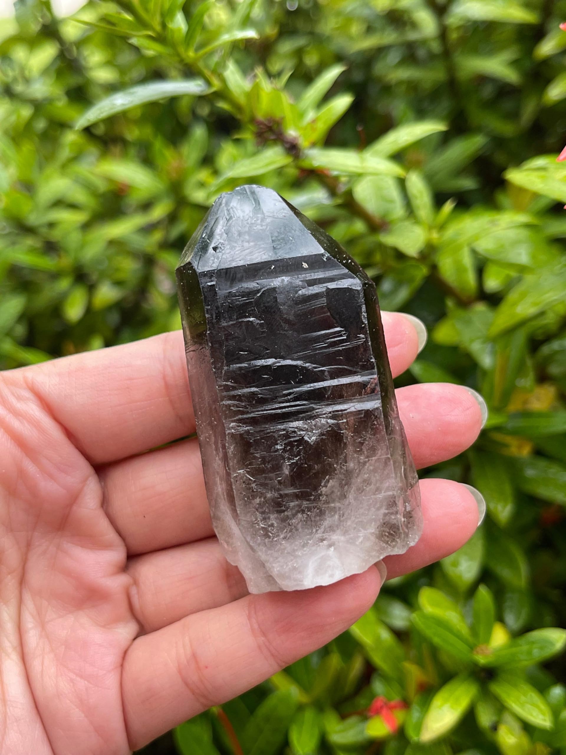 GAF TREASURES Large Raw Smoky Quartz Point, Natural Smoky Quartz Point, Natural Rough Smoky Quartz Point, Smoky Quartz Point, Smoky Quartz Rock (Smoky Quartz Point, 1 Piece)