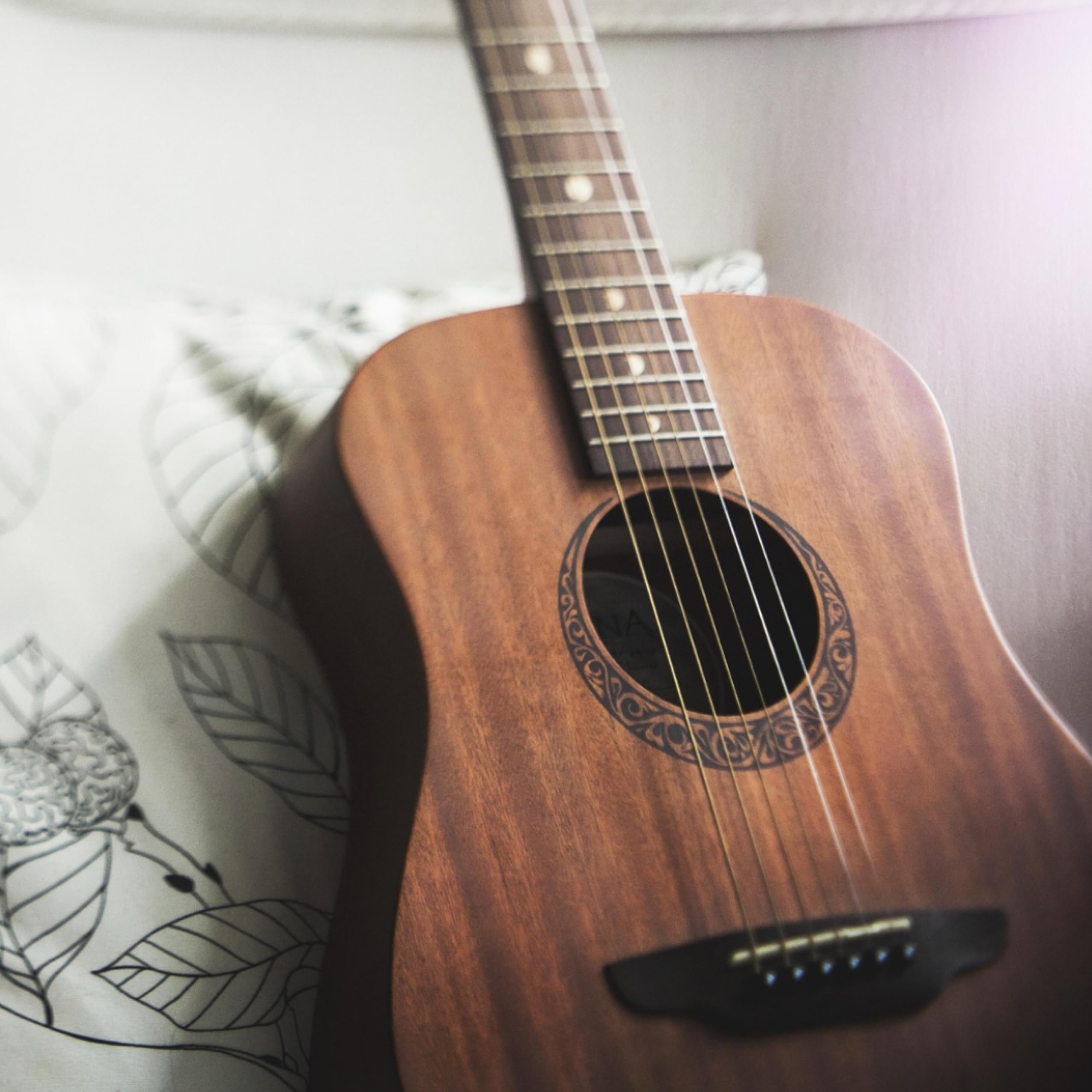 Road Acoustic Guitar