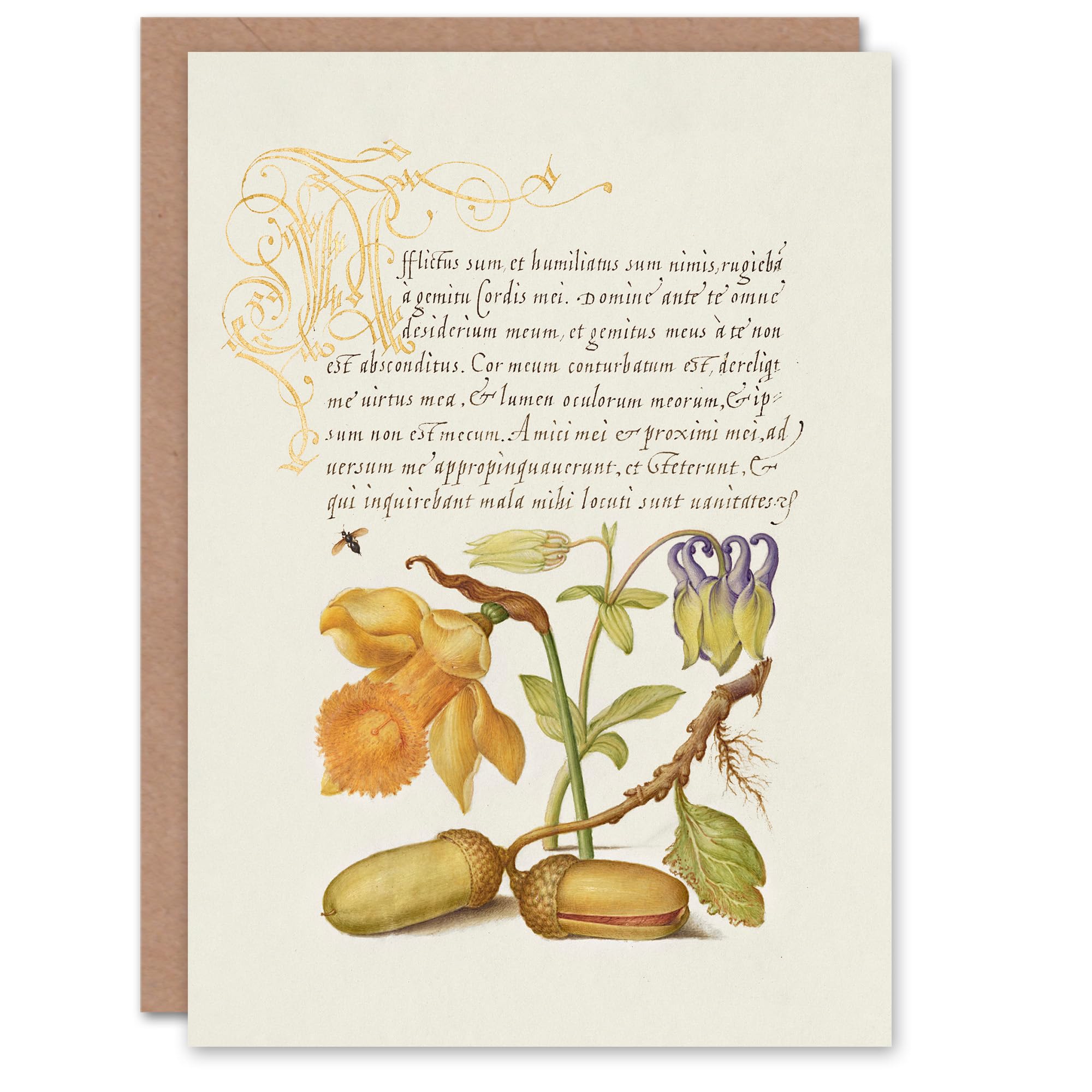 Artery8 Art Card Daffodil Flower and Oak Acorns Model Book of Calligraphy