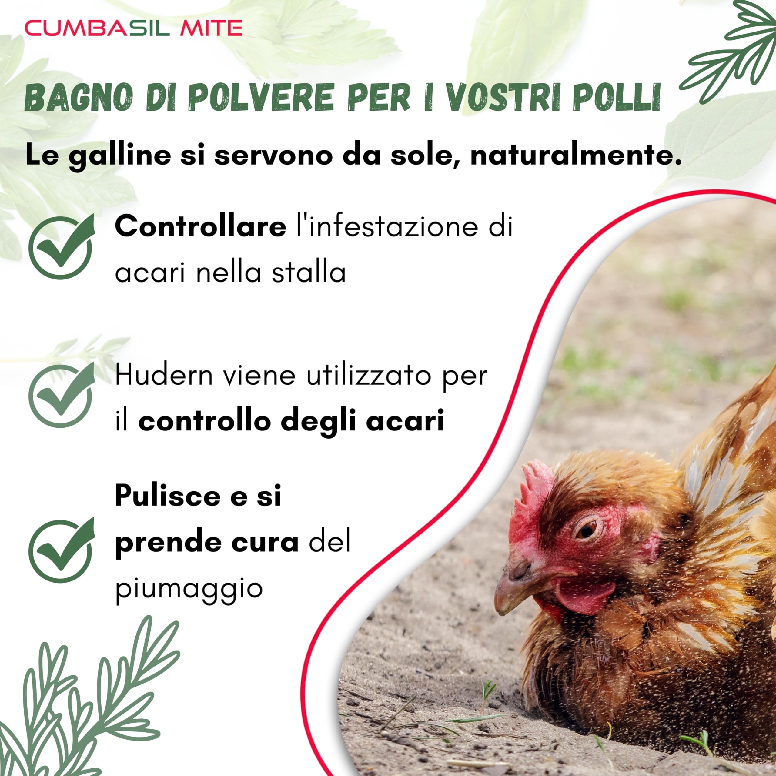 Polvere per bagno di sabbia contro gli acari per polli, set da 3 pezzi 25kg, polvere contro gli acari, rimedio naturale contro gli acari per polli, polvere