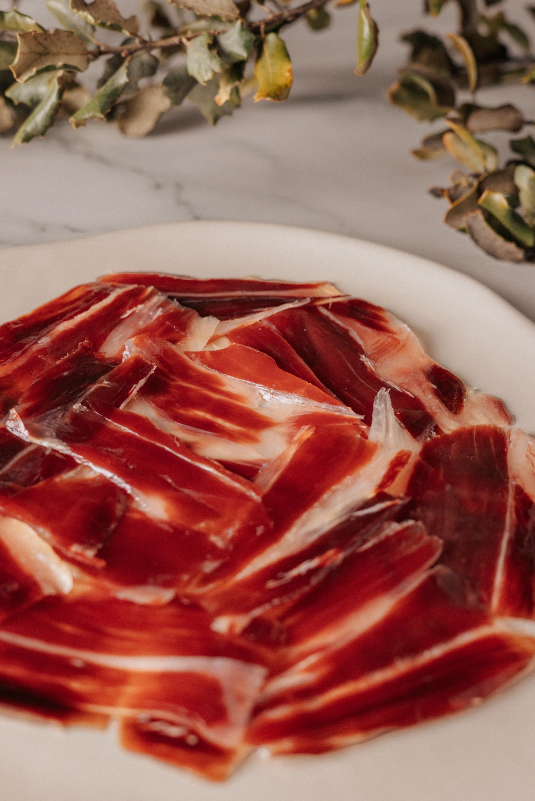 Maximiliano - Paleta Cebo de Campo - Paleta 100% Ibérica - 1 Estuche de 100 gr - Loncheada a Máquina - Exclusiva y Auténtica - Curación 18 Meses - Crianza en Libertad - Origen Sierra de Huelva