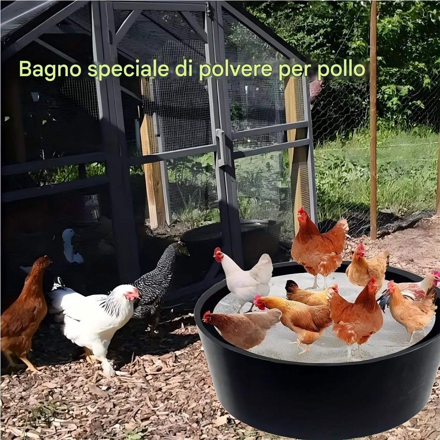 Bagno di Polvere per Galline Pollaio Regolabile 63Cm Pollame