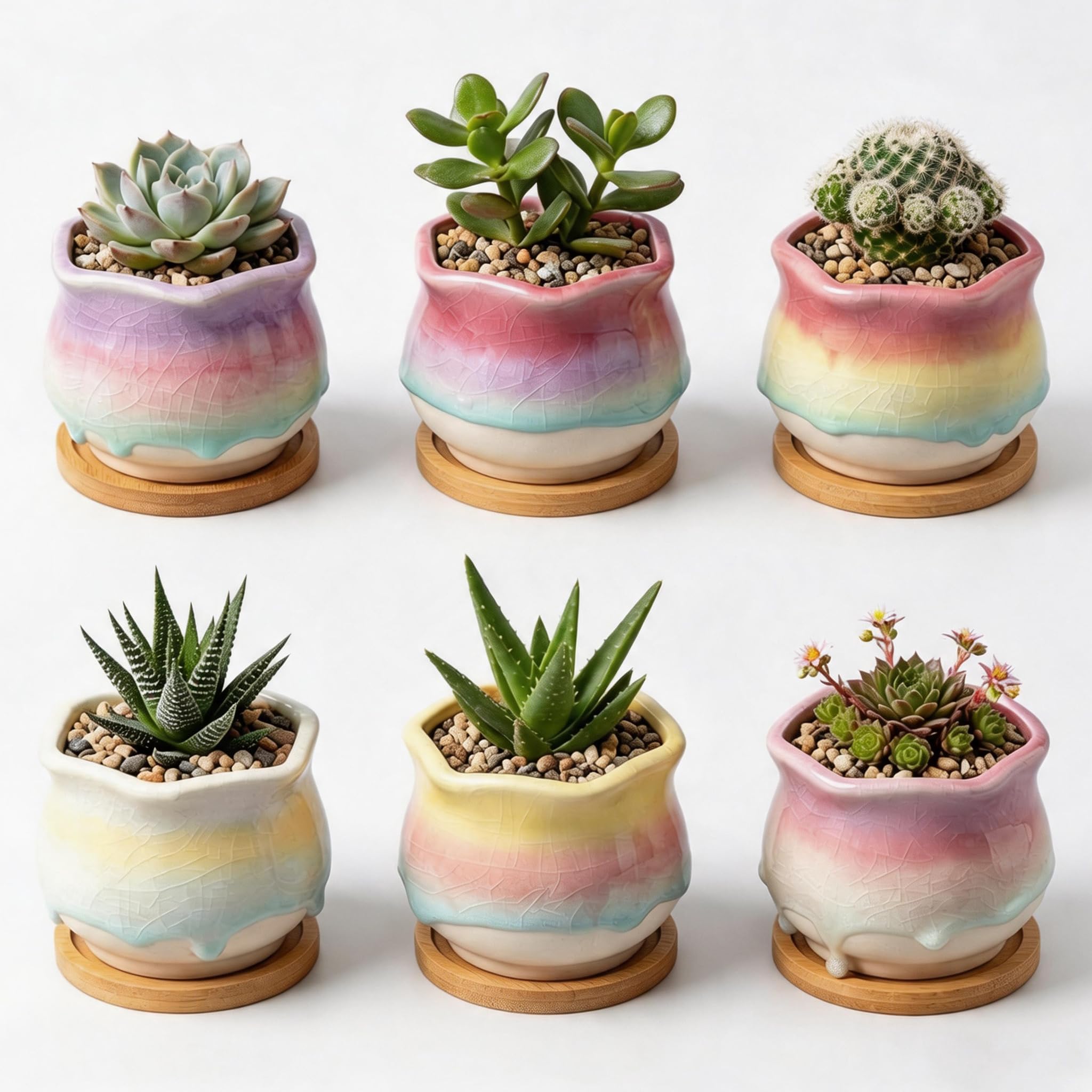 Photo 1 of Togestar 6 Pack Ceramic Succulent Planters, 3.54" W × 3.35" H Gradient Crackle Glaze Flower Pots for Succulents, Cacti, Small Plants, Creative Gardening Decorative Planter Containers