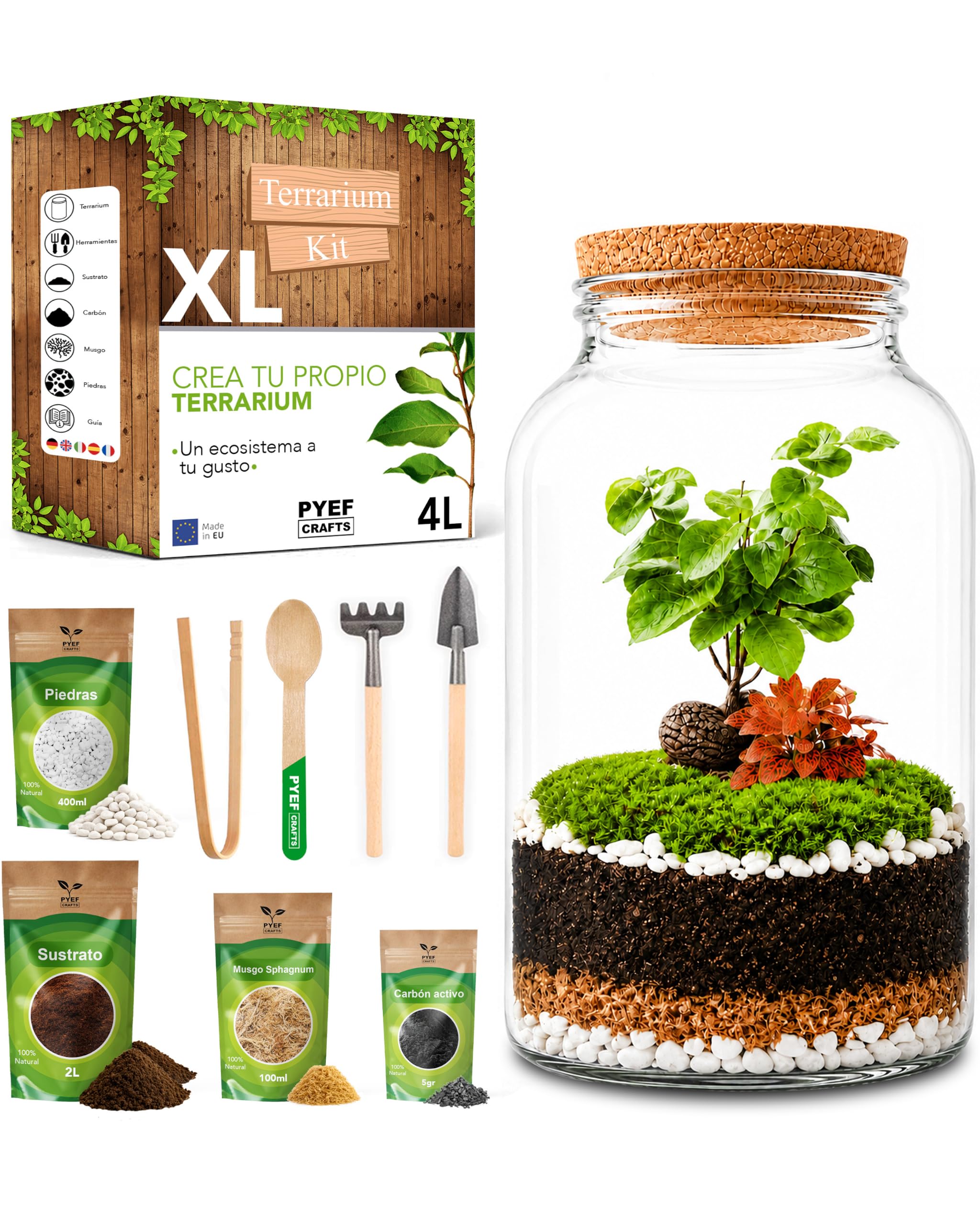 Kit Terrario Plantas XL - DIY Kit con Frasco Grande Terrario Cristal - Ecosistema Cerrado para Jardin Eterno - Terrarium Plantas Ecosistema - Sin Planta (Set con Frasco 4L)