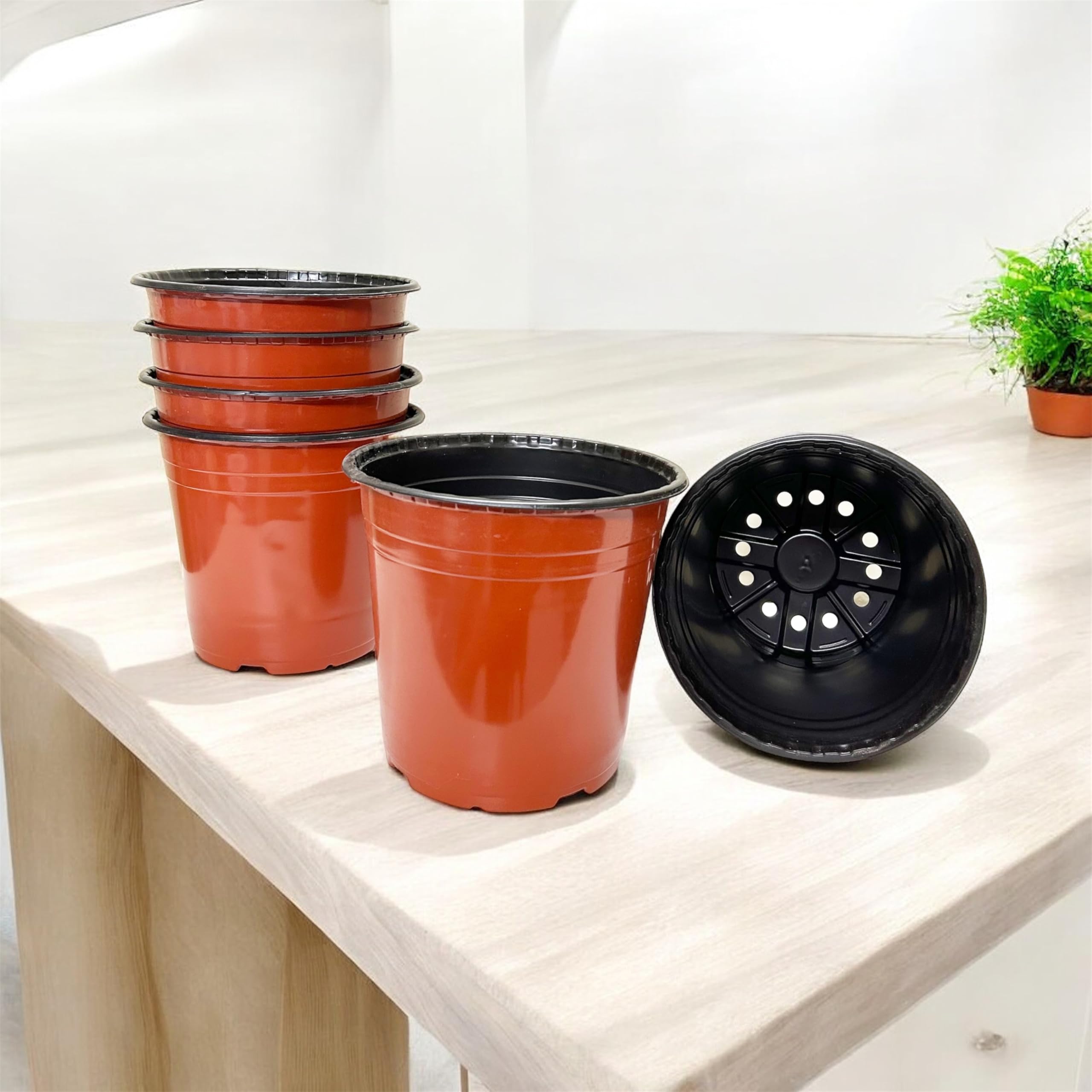 Saplings World Thermoformed Plastic Pots (8 Inch Size - Pack of 20) | Terracotta Colour | Unbreakable | Multiple Holes for Better Drainage |Best for Indoor & Outdoor Plants (B0CLVS3P7N) Amazon Price History, Amazon Price Tracker