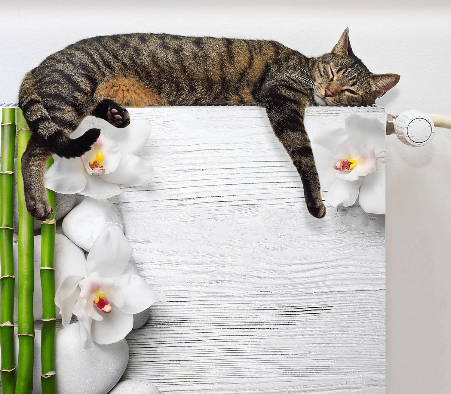 TMK Magneet radiatorafdekking, radiatorbekleding 100x60cm, bloemen