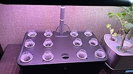 Review Image by More2ThisLife More2ThisLife