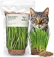 Rose & Branch Organic Cat Grass Seeds - 16oz Non-GMO Wheatgrass for Cats, Dogs & Humans - USA Grown, Easy Indoor Grow