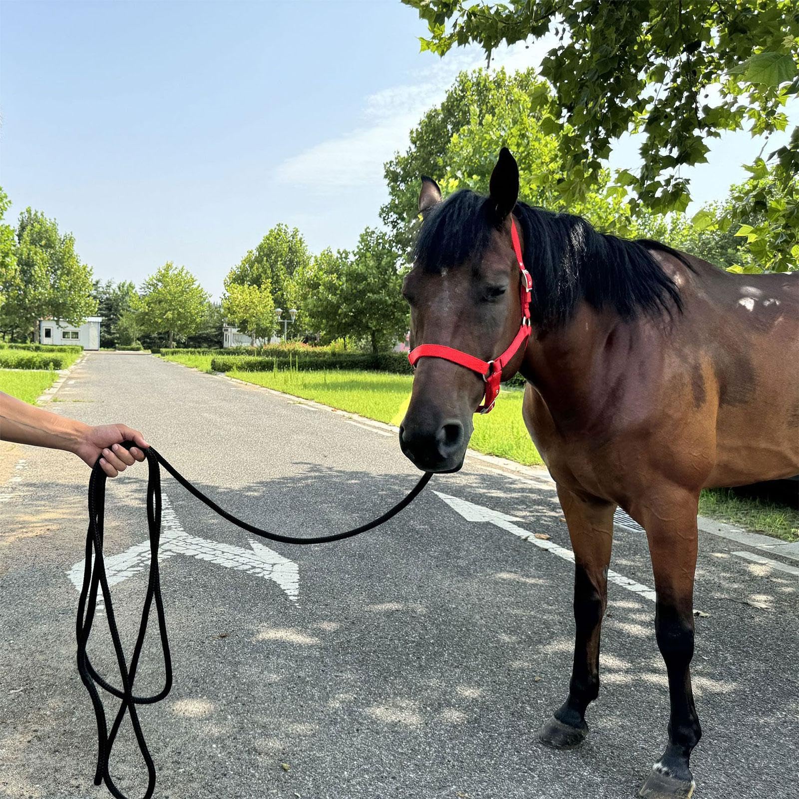 Corda per Cavalli, Corda Resistente, per Prestazioni Equestri, Attacco Rapido per Cani, Animali Domestici E Bestiame, Nero