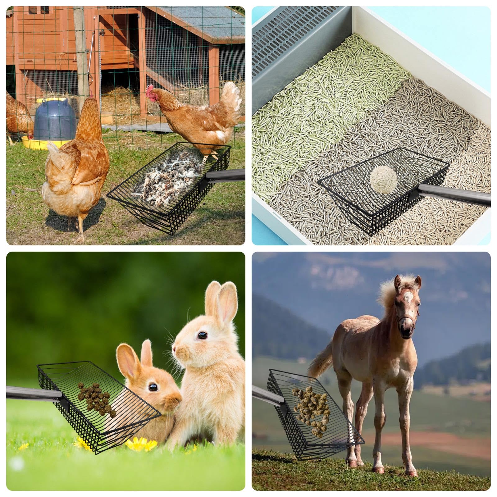 Dnoifne Accessori per Pollaio, Paletta Raccogli Escrementi in Metallo con Manico Lungo, Attrezzo per Pulizia del Pollaio, Paletta per Feci di Galline e Piccoli Animali