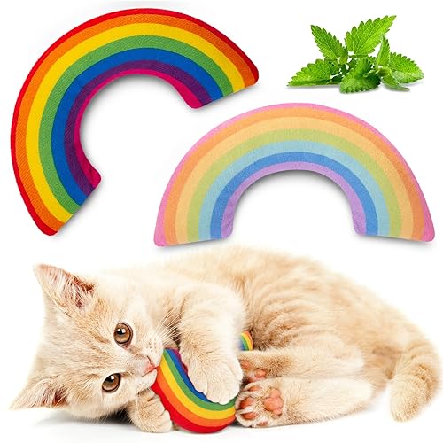 ETEKYER Cat Toys Rainbow Pillows, Catnip Toys for Indoor Cats Kitten, Soft and Durable, Interactive Cat Nip Chew Teeth Toy Kitty Kicker Toys 2 Pack - Rainbow Cat Pillow 2 Pcs
