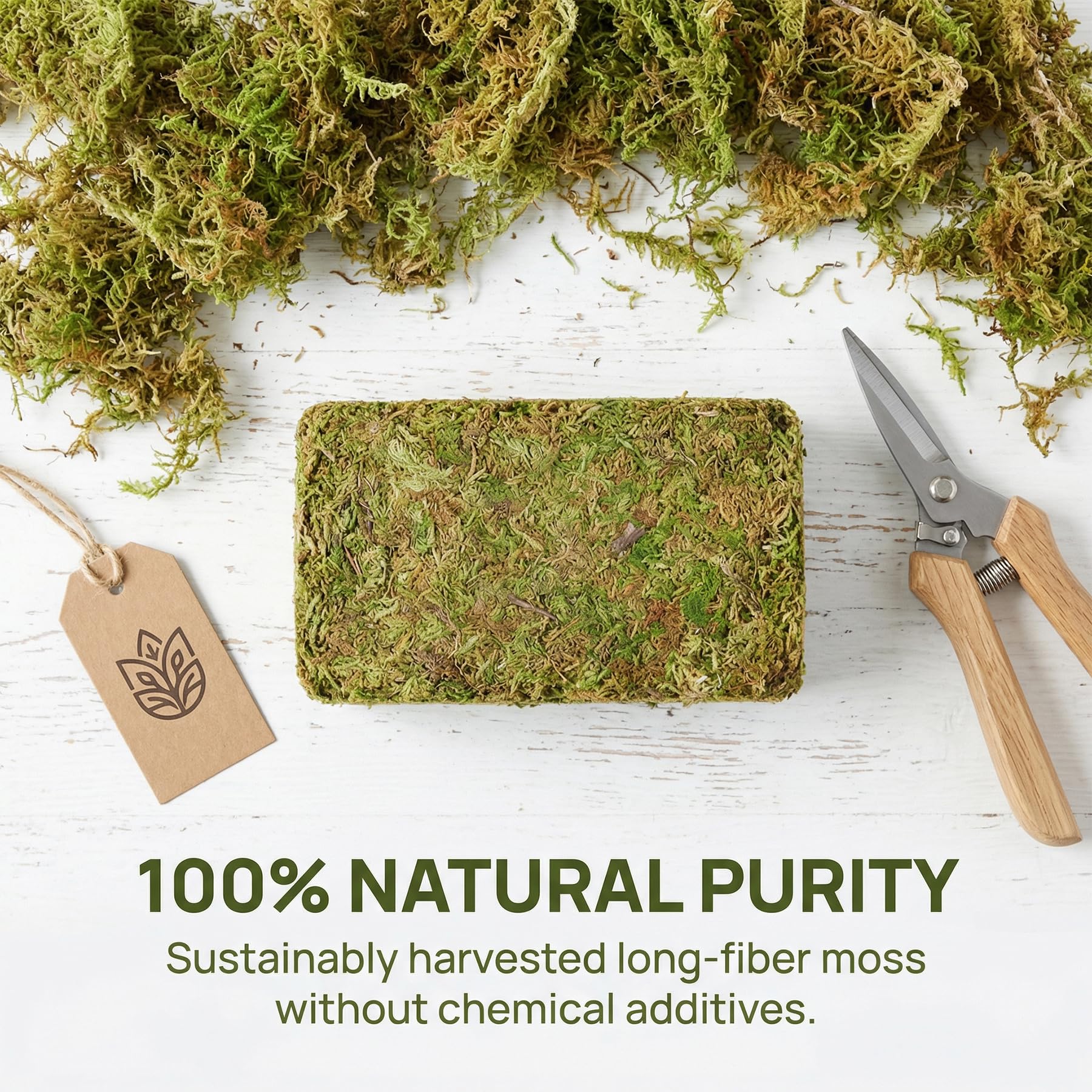1,1 kg de mousse de sphaigne pour plantes, mousse d'orchidée à longues fibres pour plantes carnivores, terrariums et rempotage d'intérieur, briques de sphaigne compressées.