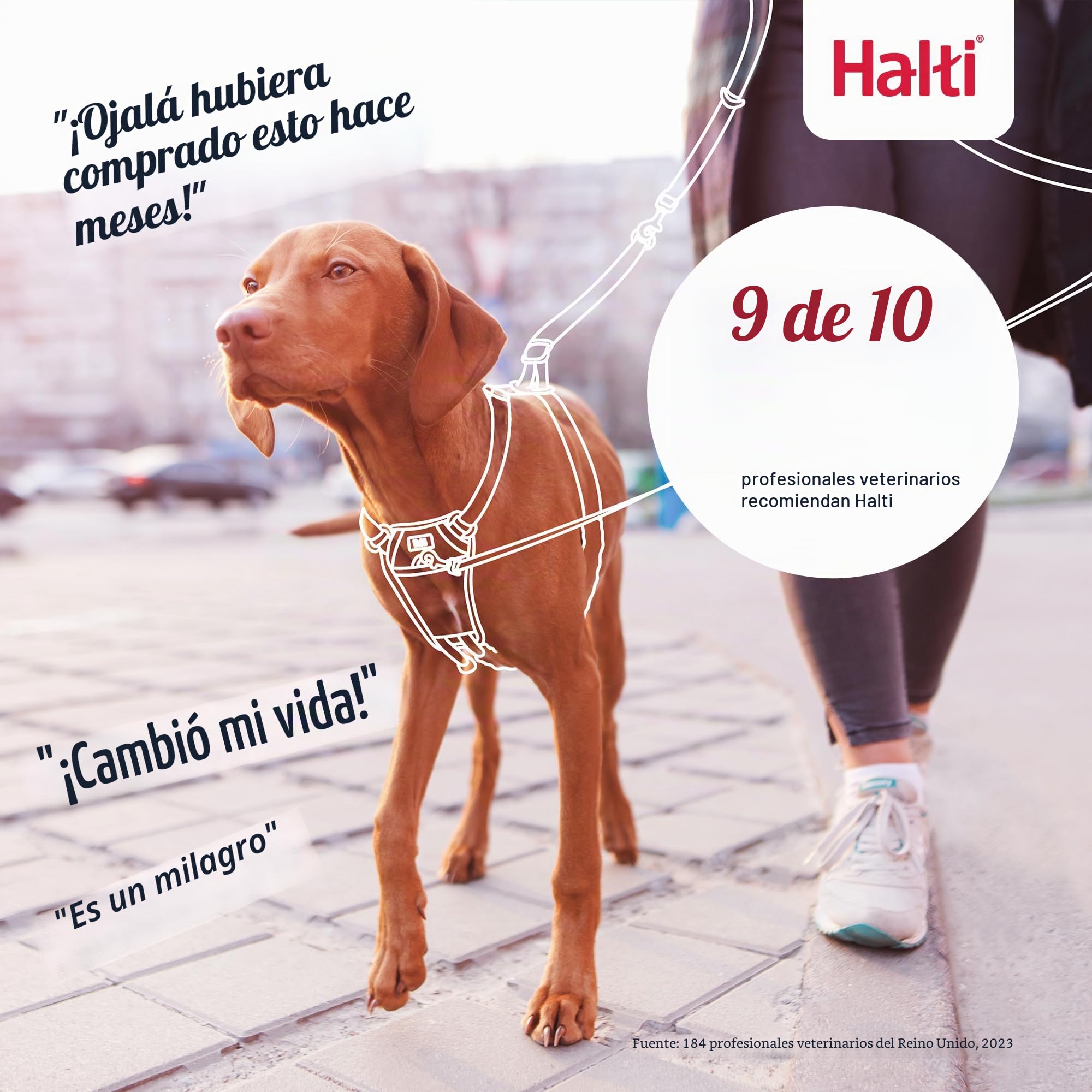 HALTI - Arnés antitirones tamaño mediano y correa de entrenamiento HALTI tamaño grande, paquete combinado negro - Evita que tu perro tire de la correa. Ajustable, ligero y fácil de usar. Adecuado para