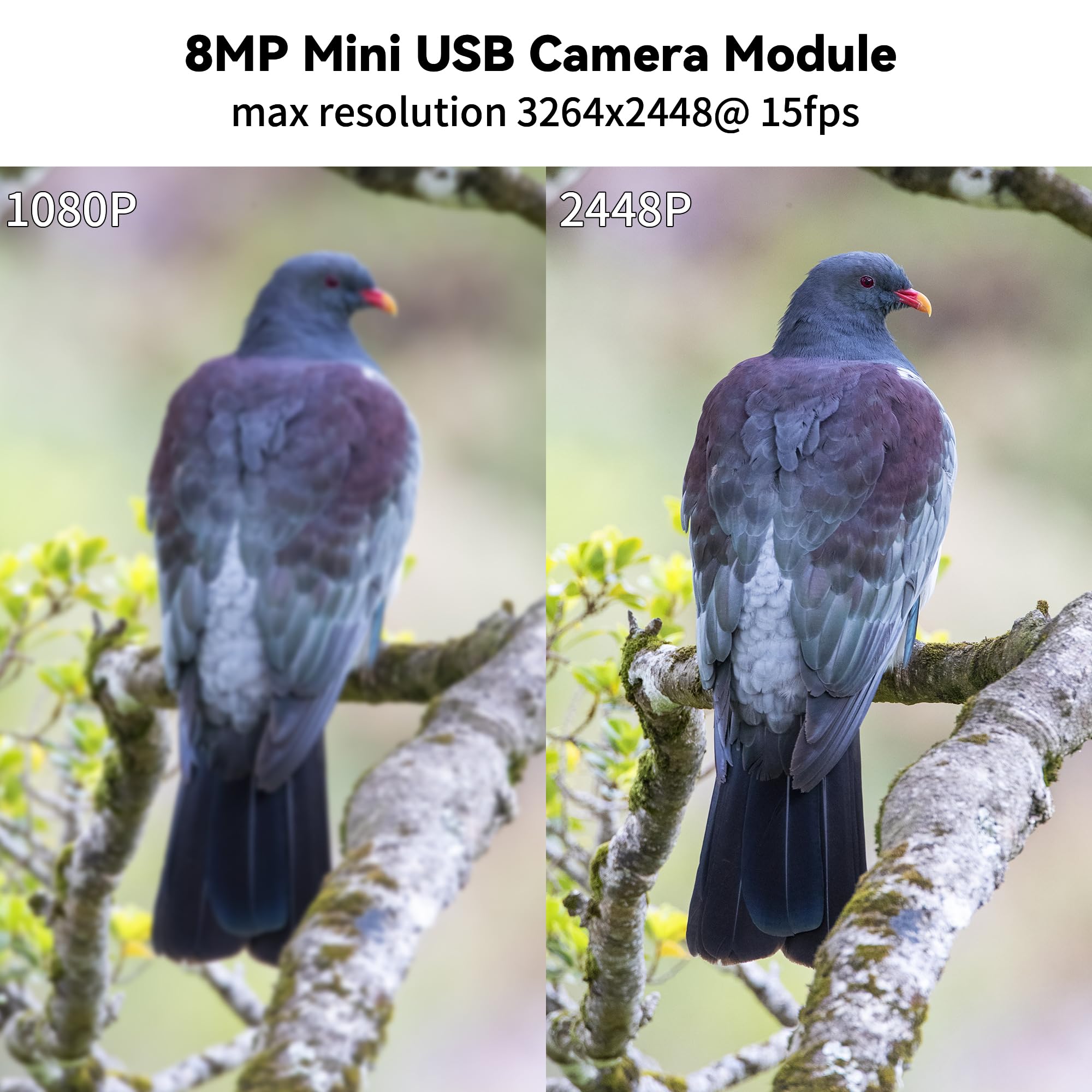 Módulo de cámara USB 8MP IMX179-3264x2448 HD Mini cámara web con lente de 2.1 mm, UVC Plug & Play para impresora 3D/máquina industrial/robot, compatible con Windows/Linux/Mac/Android