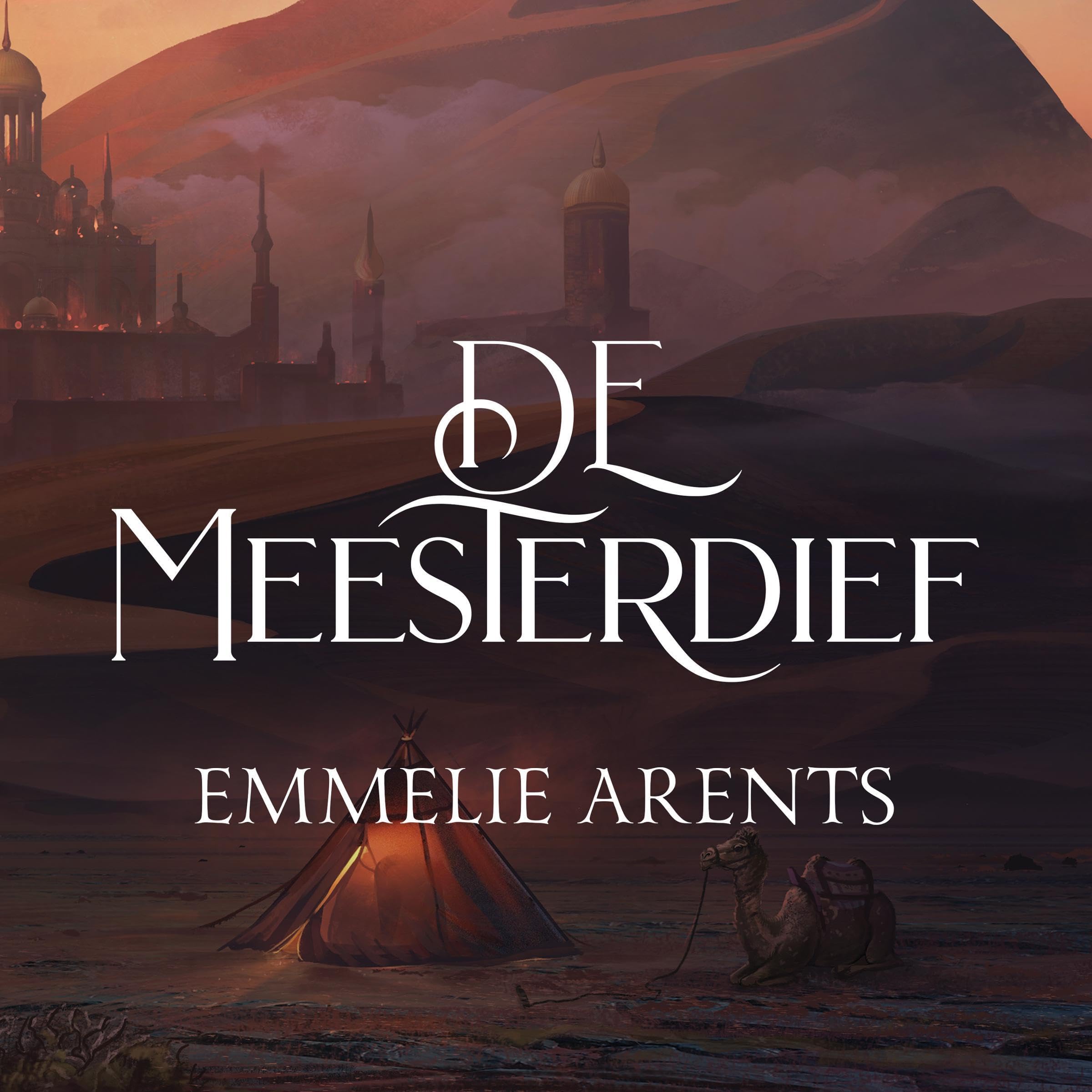 Cover art for De Meesterdief