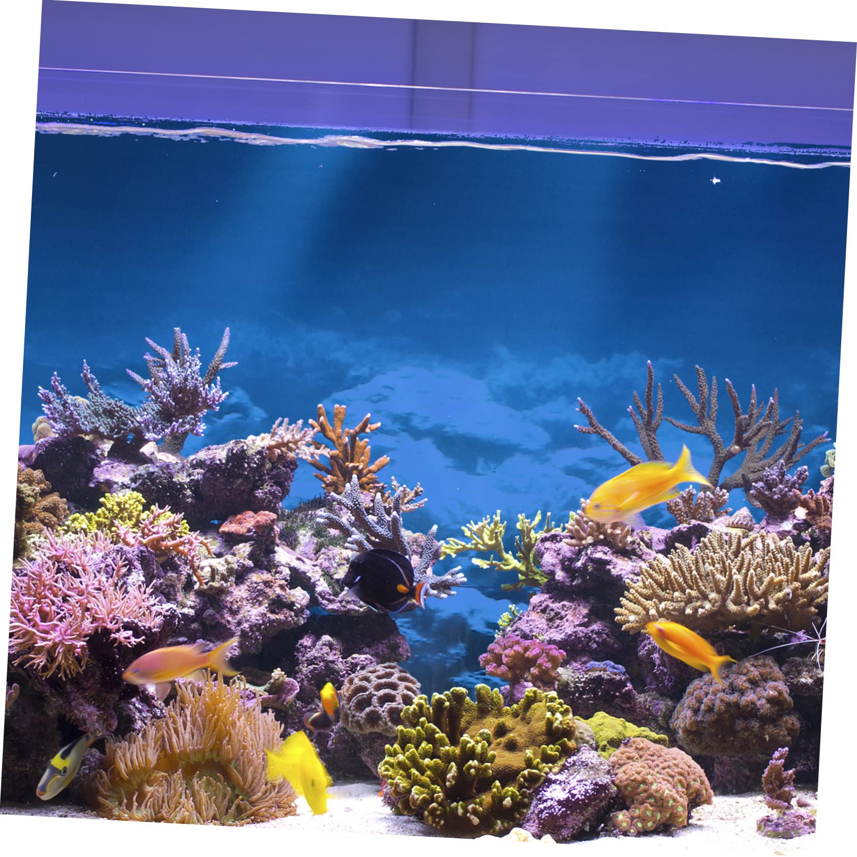 OSALADI 2 Pegatinas De Fondo para Pecera Peces A La Venta Filtro De Esponja para Acuario Calcomanía Decorativa para Acuario Luz LED para Pecera Filtro De Bote Soporte para